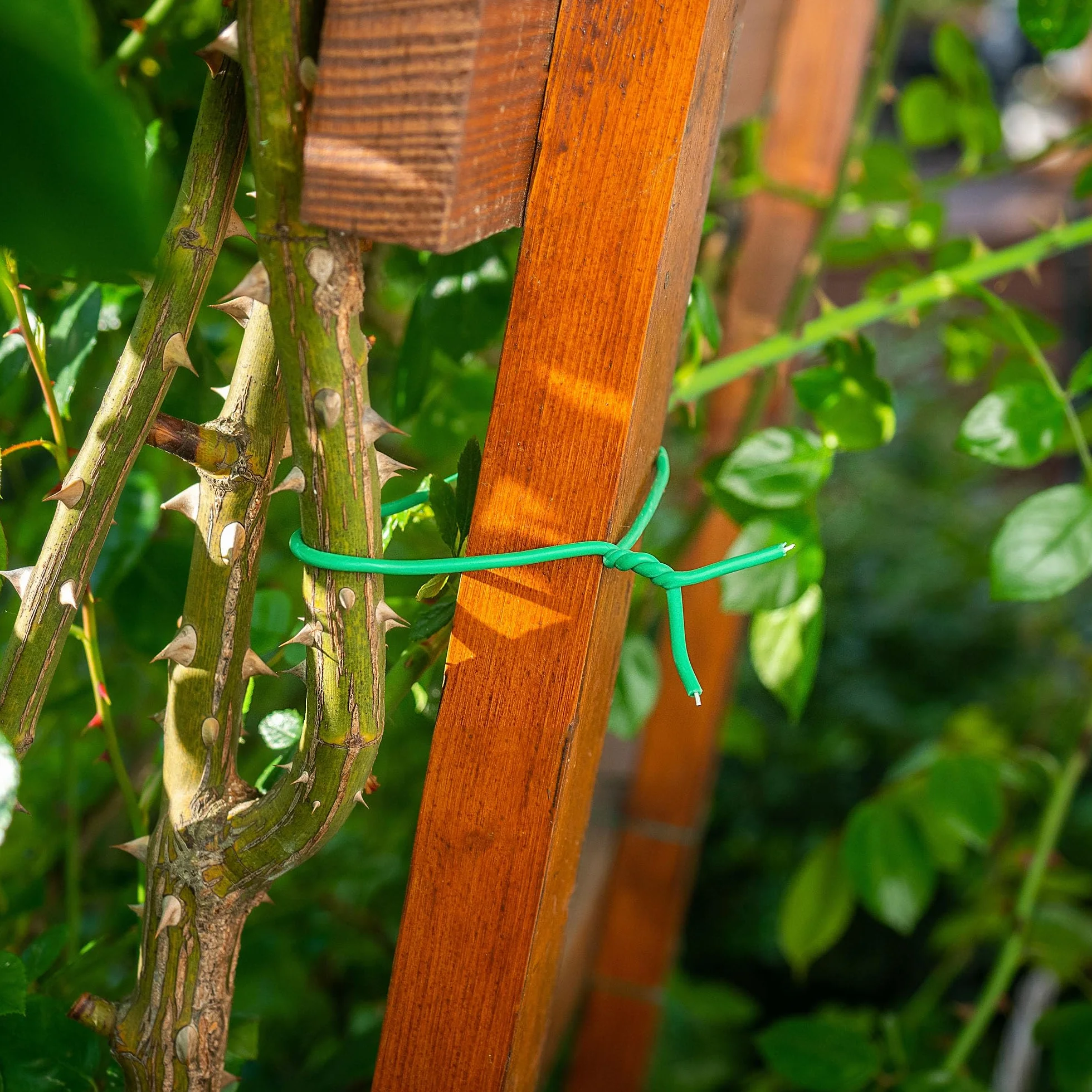 KADAX drut ogrodowy 3 mm x 5 m, zielony, gumowany, odporny na warunki atmosferyczne