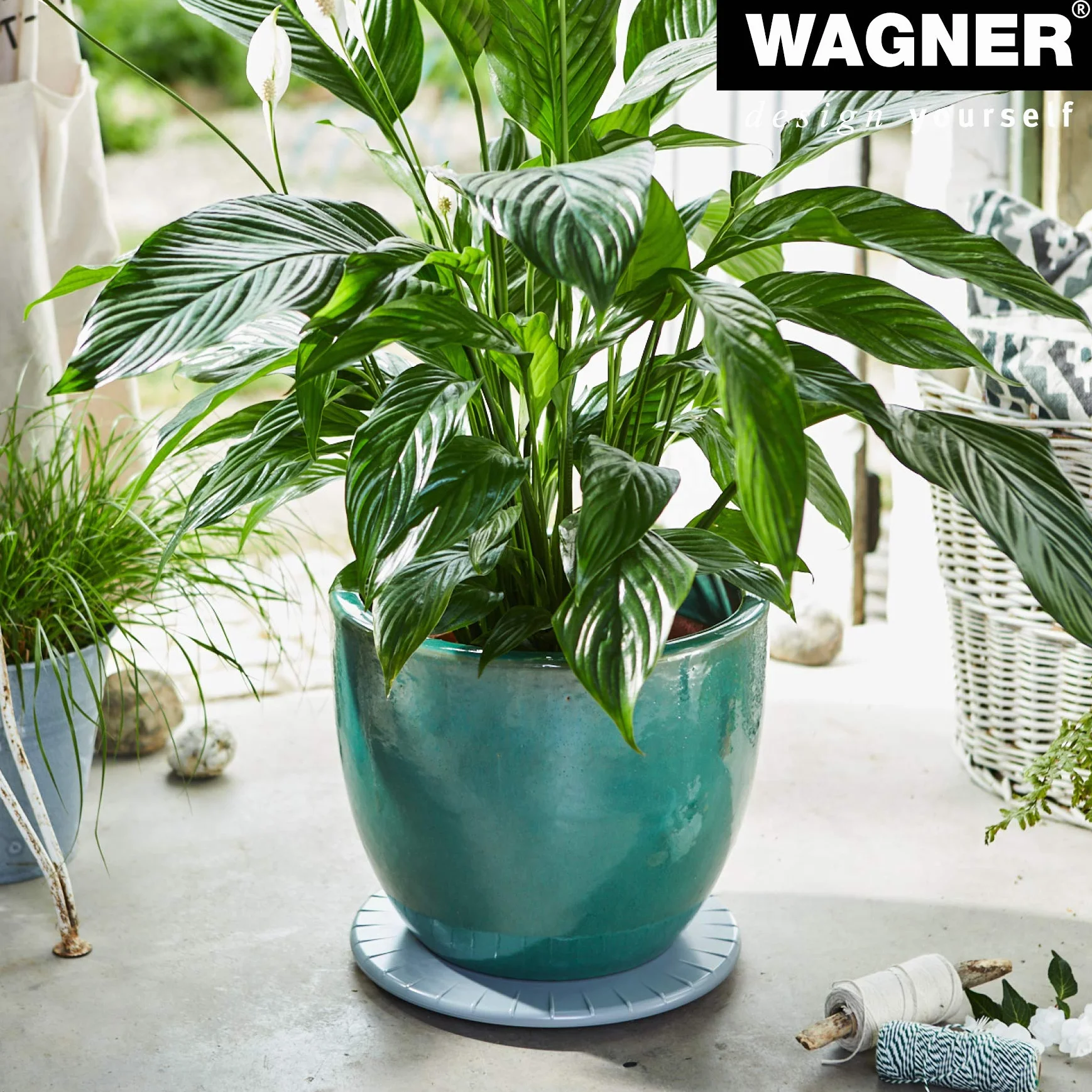 Wagner Ultra FLAT 20045001 wałek do roślin o wymiarach 30 x 3 cm, do użytku w pomieszczeniach z lekkimi łożyskami kulkowymi, wyjątkowo płaski wałek z tworzywa sztucznego ABS, srebrno-szary, odporny na