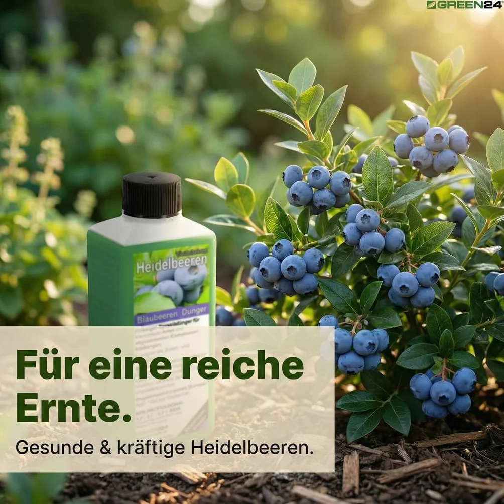 Green24 Nawóz jagodowy NPK do jagód i jagód uprawnych grządek pojemników