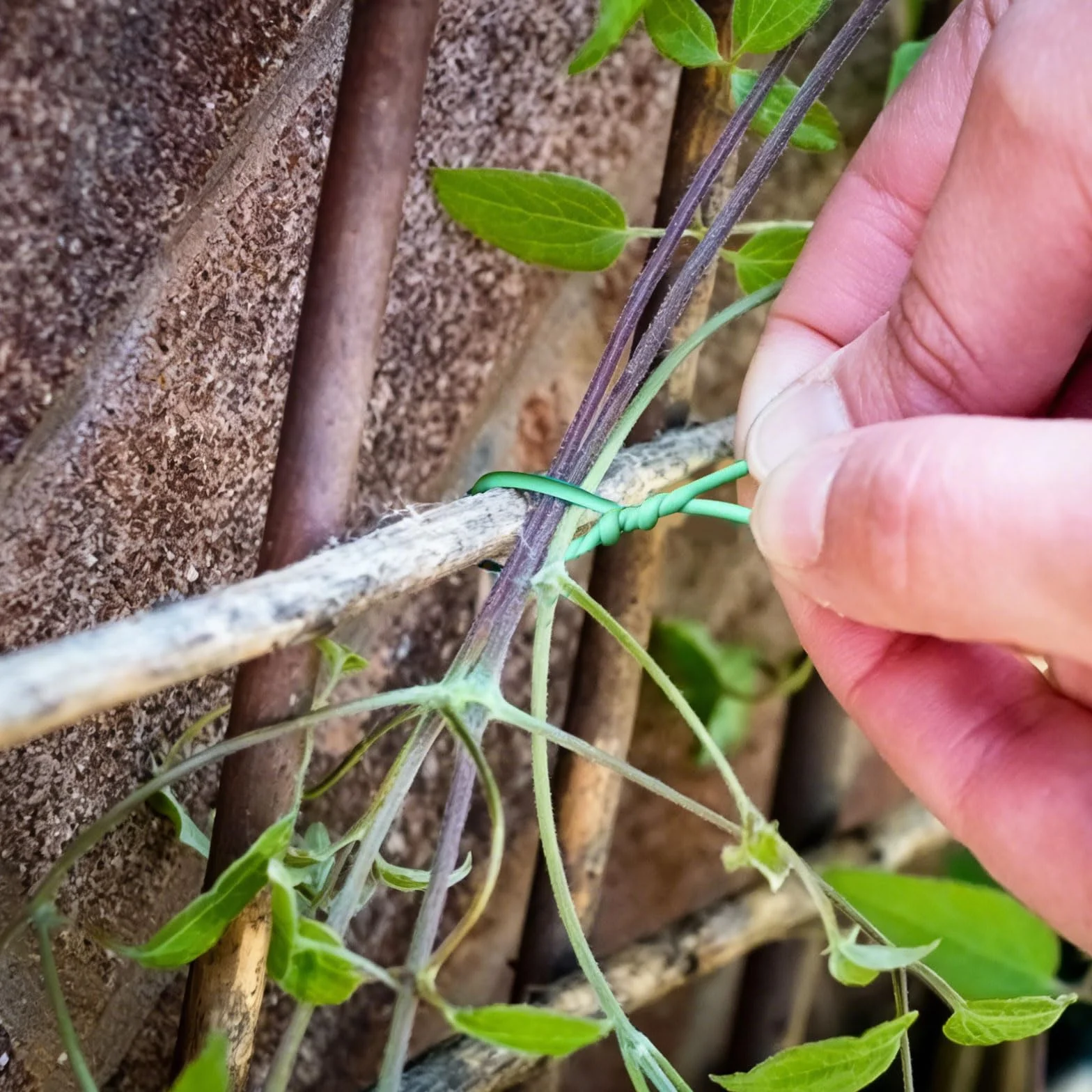 Zielony drut ogrodowy z nożem, 40 m, elastyczny drut do roślin, 3,5 mm, gumowany drut do roślin, do prac ogrodowych, pomidorów, winorośli, miękki drut do roślin do treningu niskiego stresu