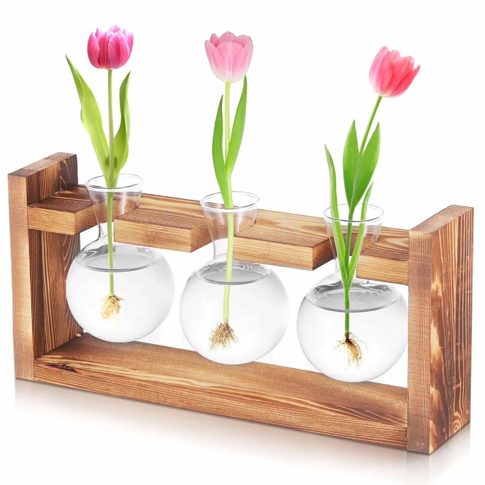 Fentar Stacja rozmnażania roślin, Terrarium Rośliny ekosystem z wtyczką i drewnianą podstawą, moda przezroczyste szkło terrarium, hydroponic szklane doniczki dekoracyjne kryty (kulisty)