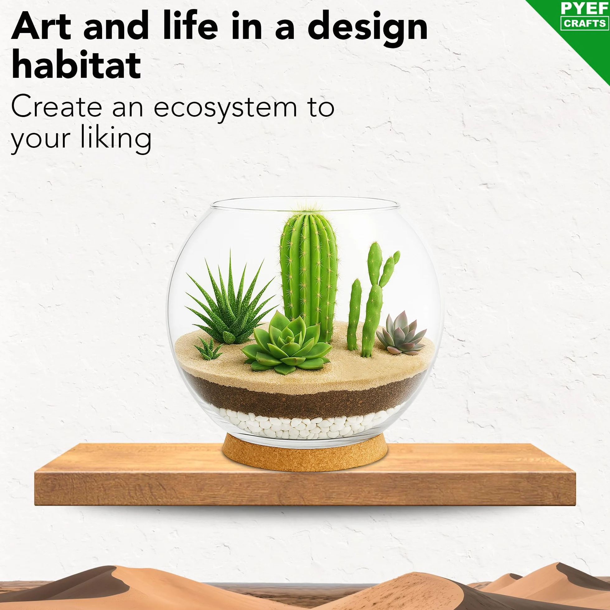 Zestaw do terrarium DIY dla sukulentów i kaktusów – zestaw startowy ze szklaną miską w zestawie – stwórz własny zestaw terrarium ze słoikiem, piaskiem, ziemią, węglem drzewnym, kamieniami
