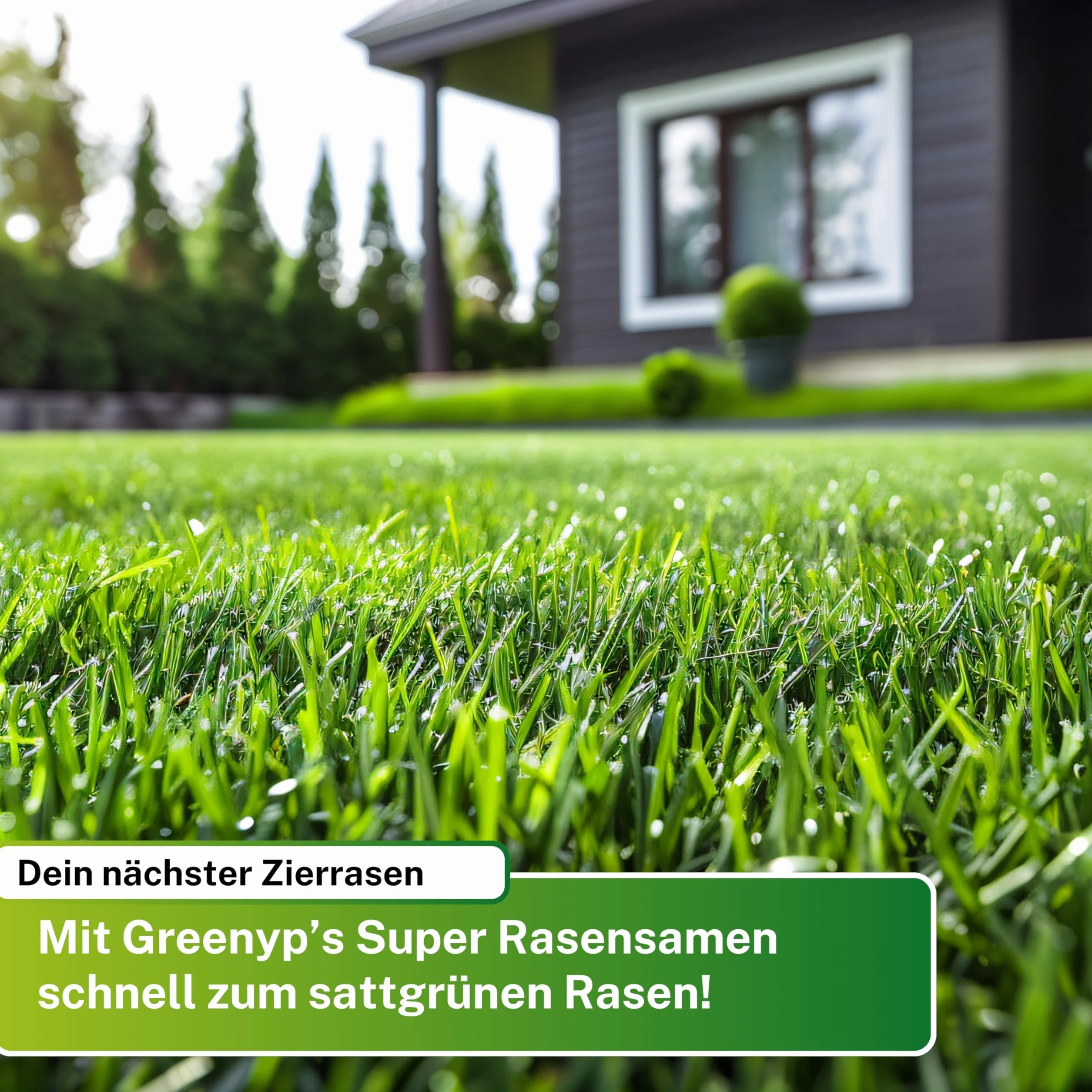 Greenyp Nasiona Trawy Super Trawnik Intensywnie Zielony 0,2 kg na 10 m²