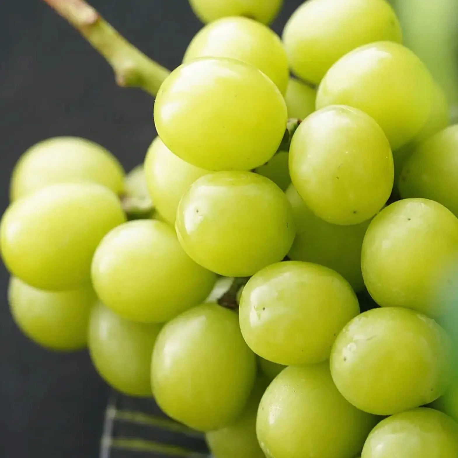 Nasiona winogron, 100 szt. Nasiona winogron do sadzenia nasion do sadzenia warzyw i owoców, słodkie nasiona owoców bez GMO Shine-Muscat Grape Home Garden Hydroponic Seeds Posiew