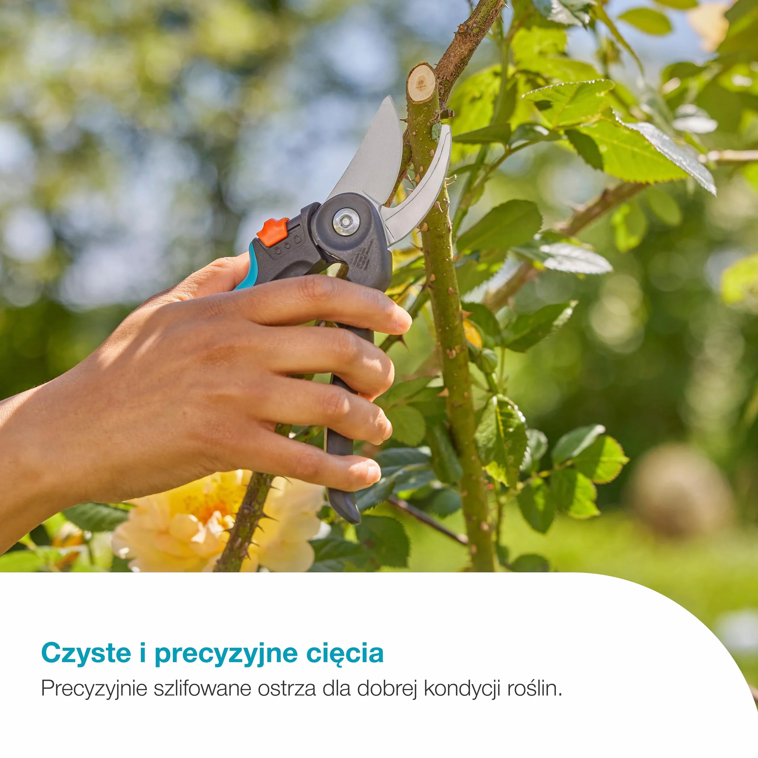 Gardena Nożyce ogrodowe PremiumCut Flex, cięcie obejściowe, do świeżego drewna, średnica cięcia 24 mm, ergonomiczne uchwyty, ostrza PowerCoating, wyprodukowano w Niemczech (12242-20)