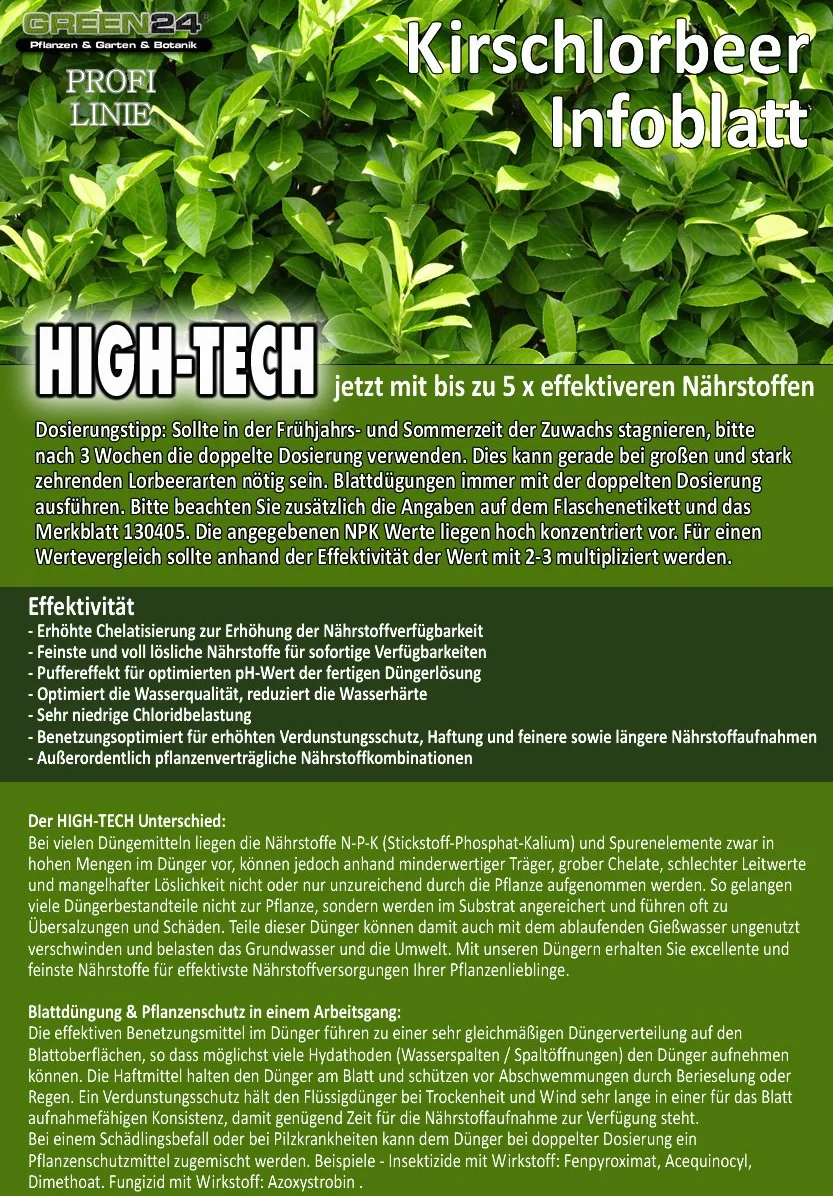Prunus laurocerasus nawóz do laurowy w płynie premium