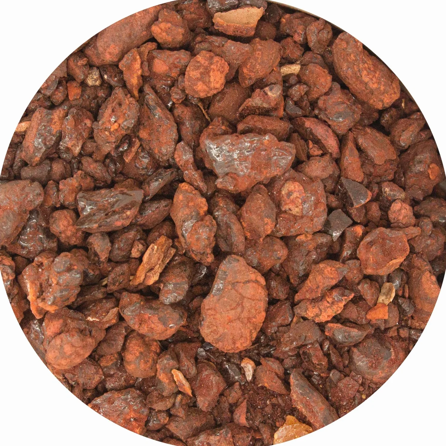 Żywica Smocza krew Dracaena cinnabari 10g Sokotra