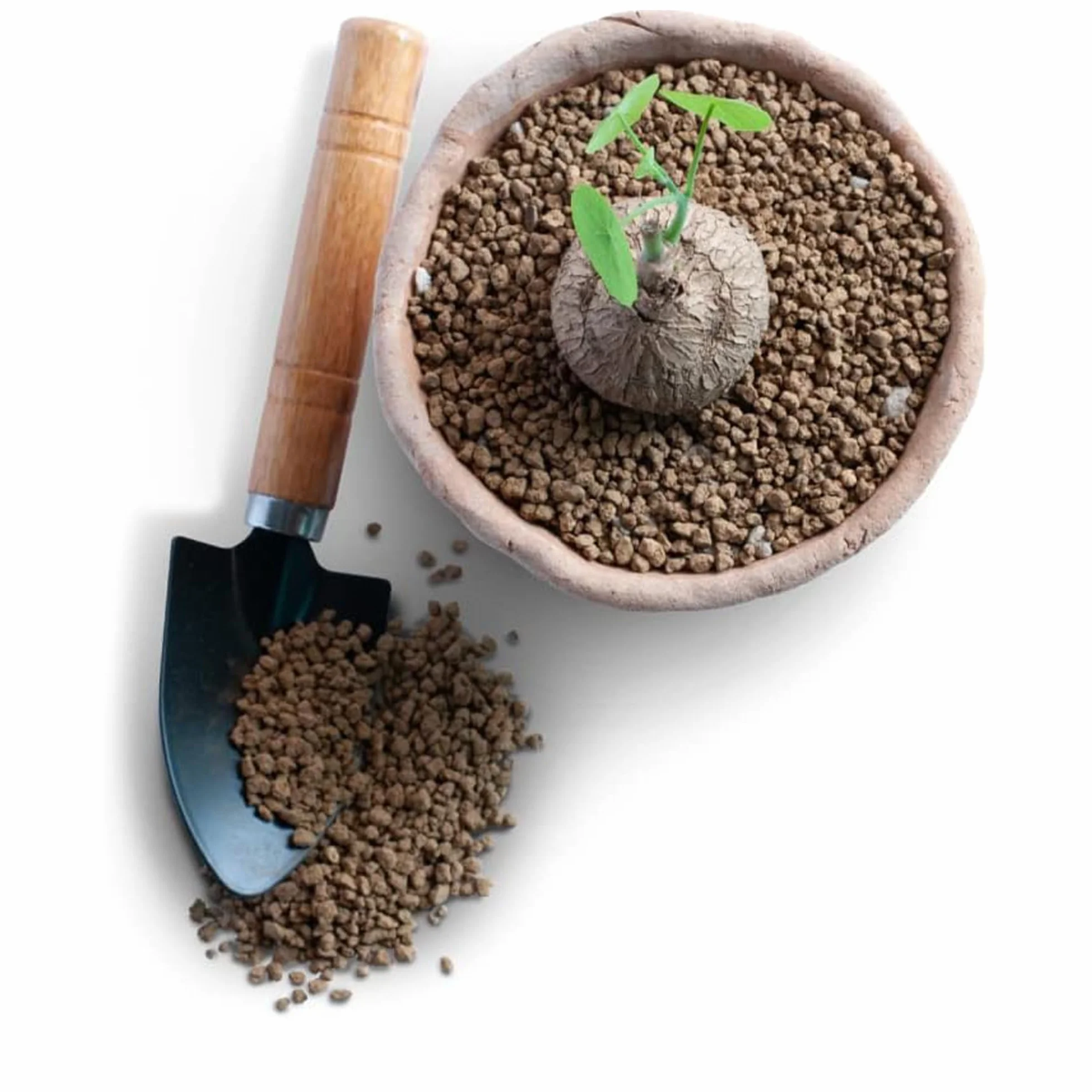 Kalapanta - Akadama do bonsai, HQ Ibaraki ziemia bonsai, 1 l, granulometria 2-5 mm, profesjonalna twarda jakość, japoński granulat wulkaniczny do roślin bonsai, idealna równowaga