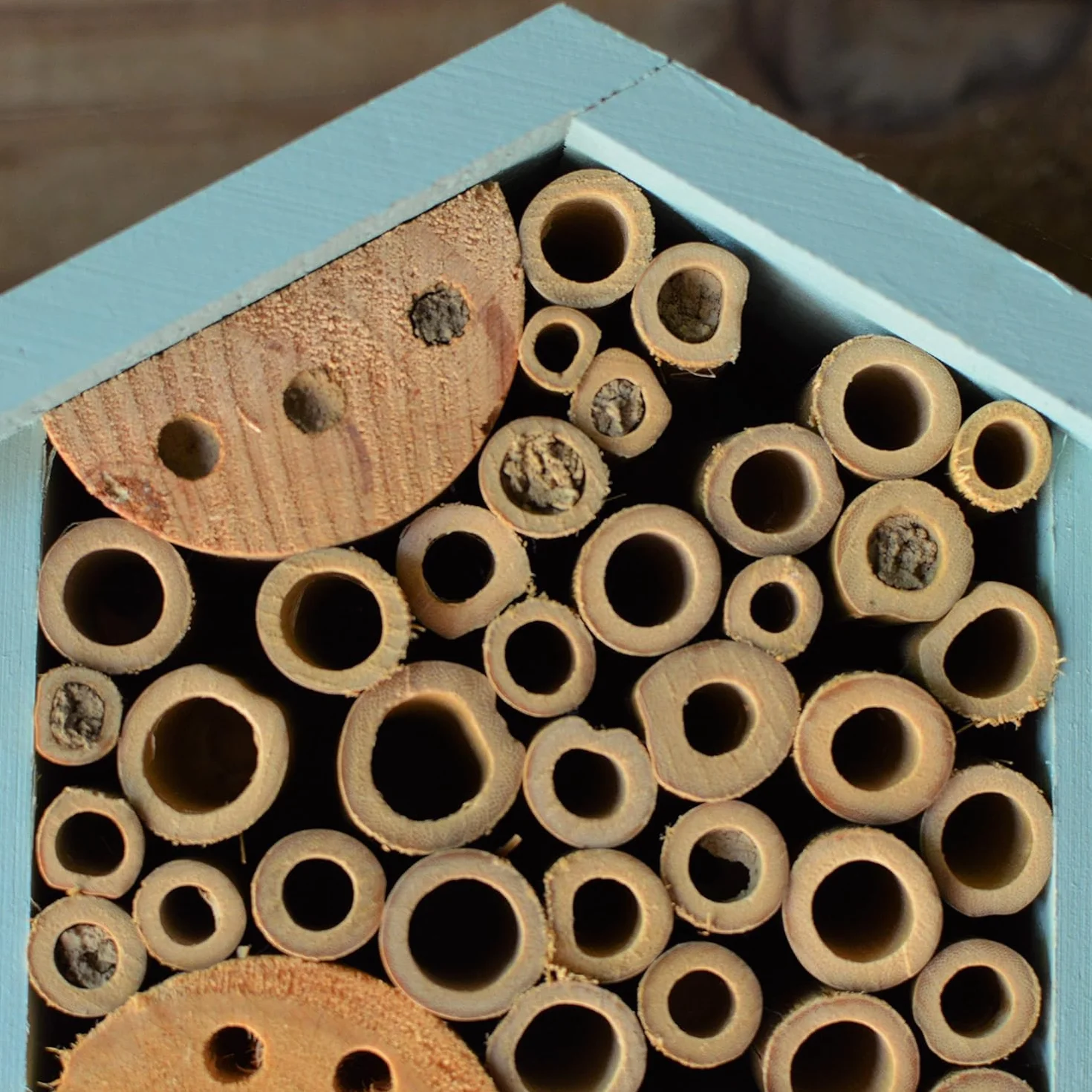 Nature's Way Produkty dla ptaków, PWH1-C, jasnoniebieski domek dla pszczół