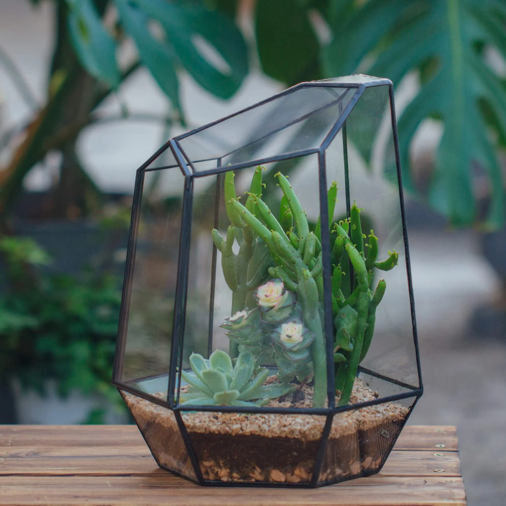 NCYP Zamknięte geometryczne szklane terrarium z drzwiami - 20 x 17,5 x 25 cm czarna doniczka z nieregularnym szkłem - nowoczesna doniczka na sukulenty kaktusy - dekoracja ogrodu domowego (rośliny nie