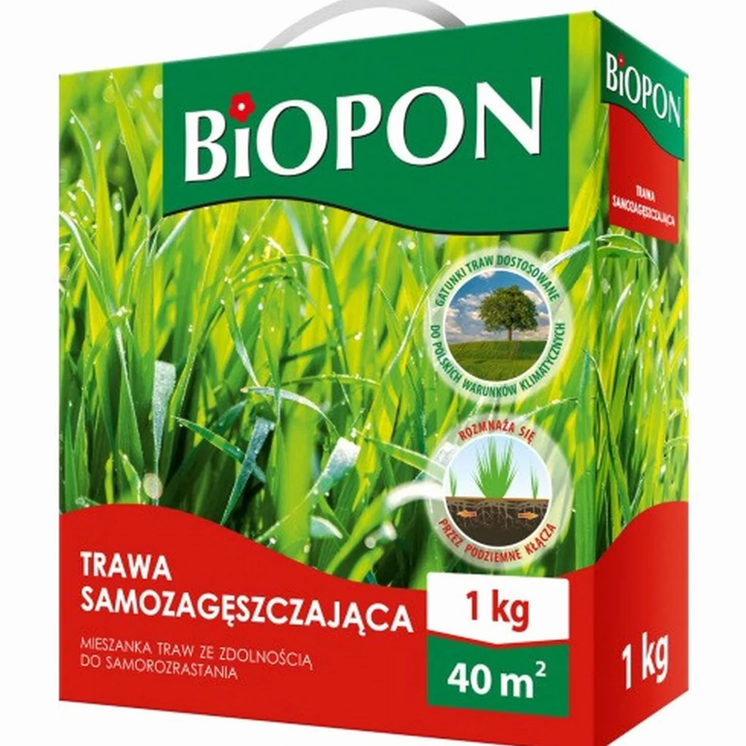 BioPon Nasiona Traw Odporne na Deptanie 1 kg 40 m²