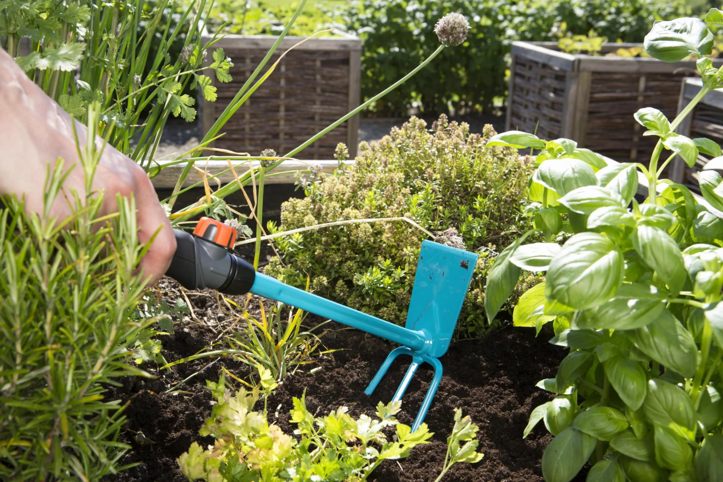 Gardena combisystem motyczka sercowa: 3-zębowa motyczka sercowa do spulchniania/napowietrzania gleby, szerokość robocza 6,5 cm, ergonomiczna rękojeść, zabezpieczenie przed korozją (8915-20)