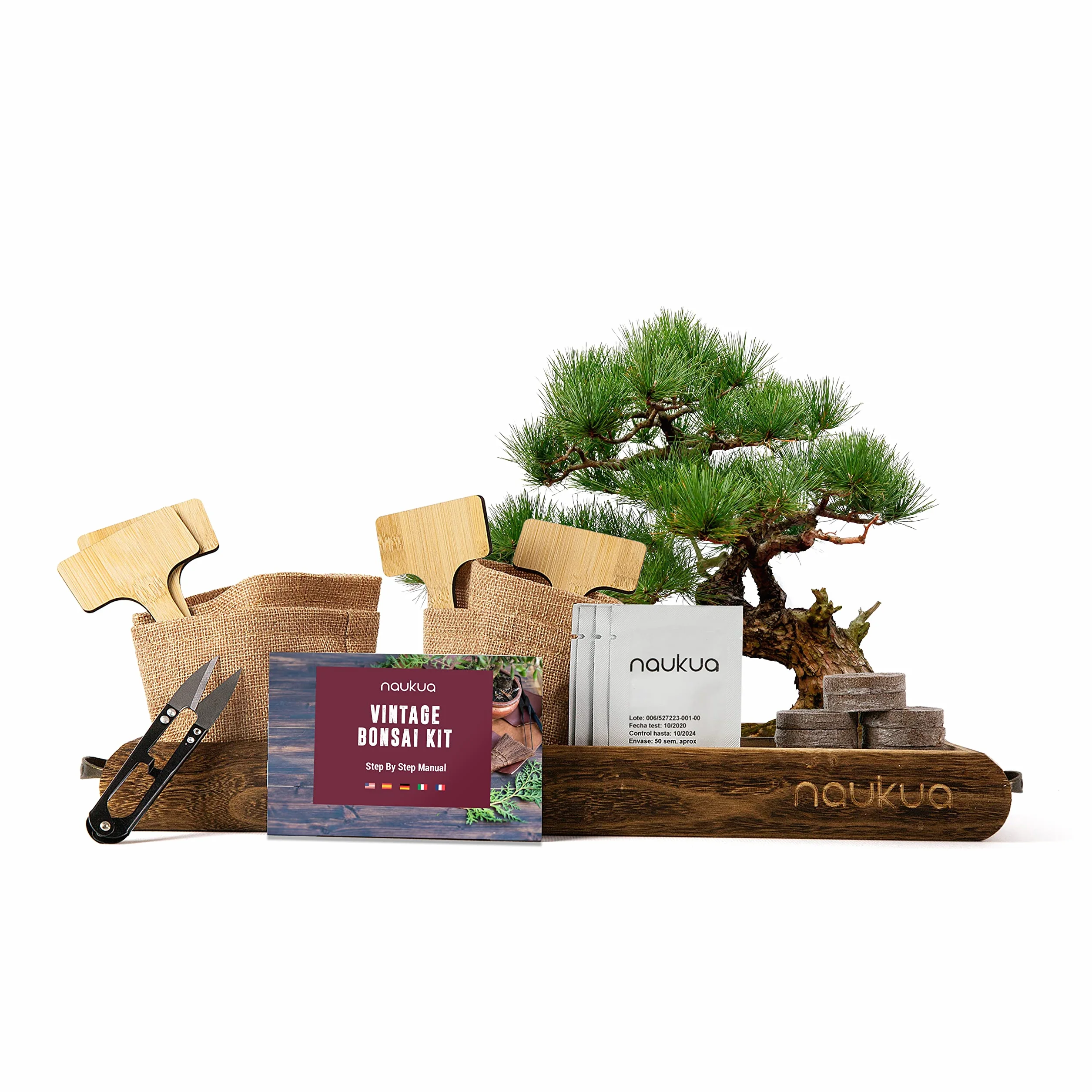 Zestaw Startowy Bonsai - 4 Drzewka Bonsai (Organiczne Nasiona) - Unikalny Pomysł Na Prezent - Wszystko, Czego Potrzebujesz, Aby Wyhodować Własne Drzewka Bonsai w Domu - Kompletna Instrukcja Obsługi Krok Po Kroku.