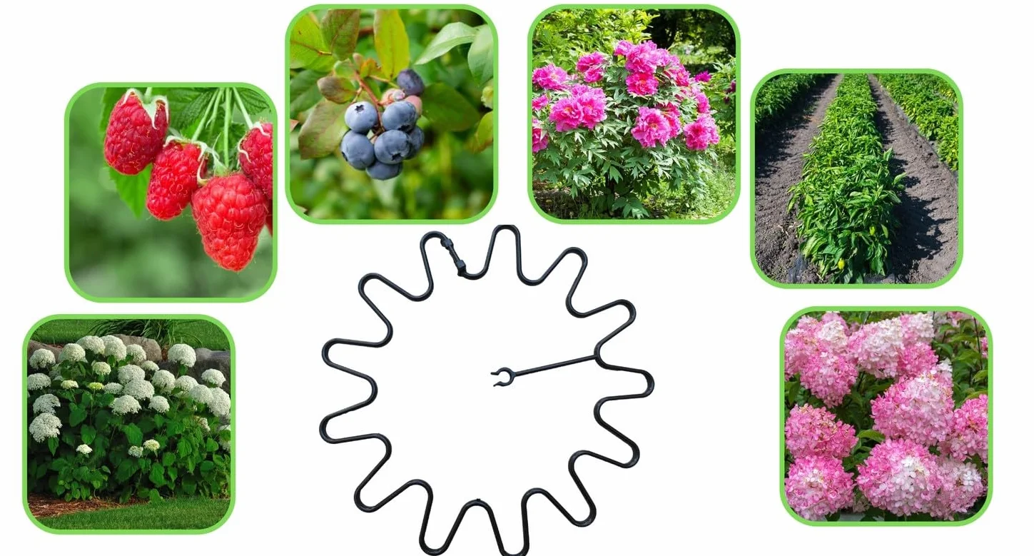 Podpora obejma do HORTENSJI RÓŻ TRAWY OZDOBNE MONSTERA ROŚLIN Czarna Uniwersalna Regulowana Ring 10szt 21CM