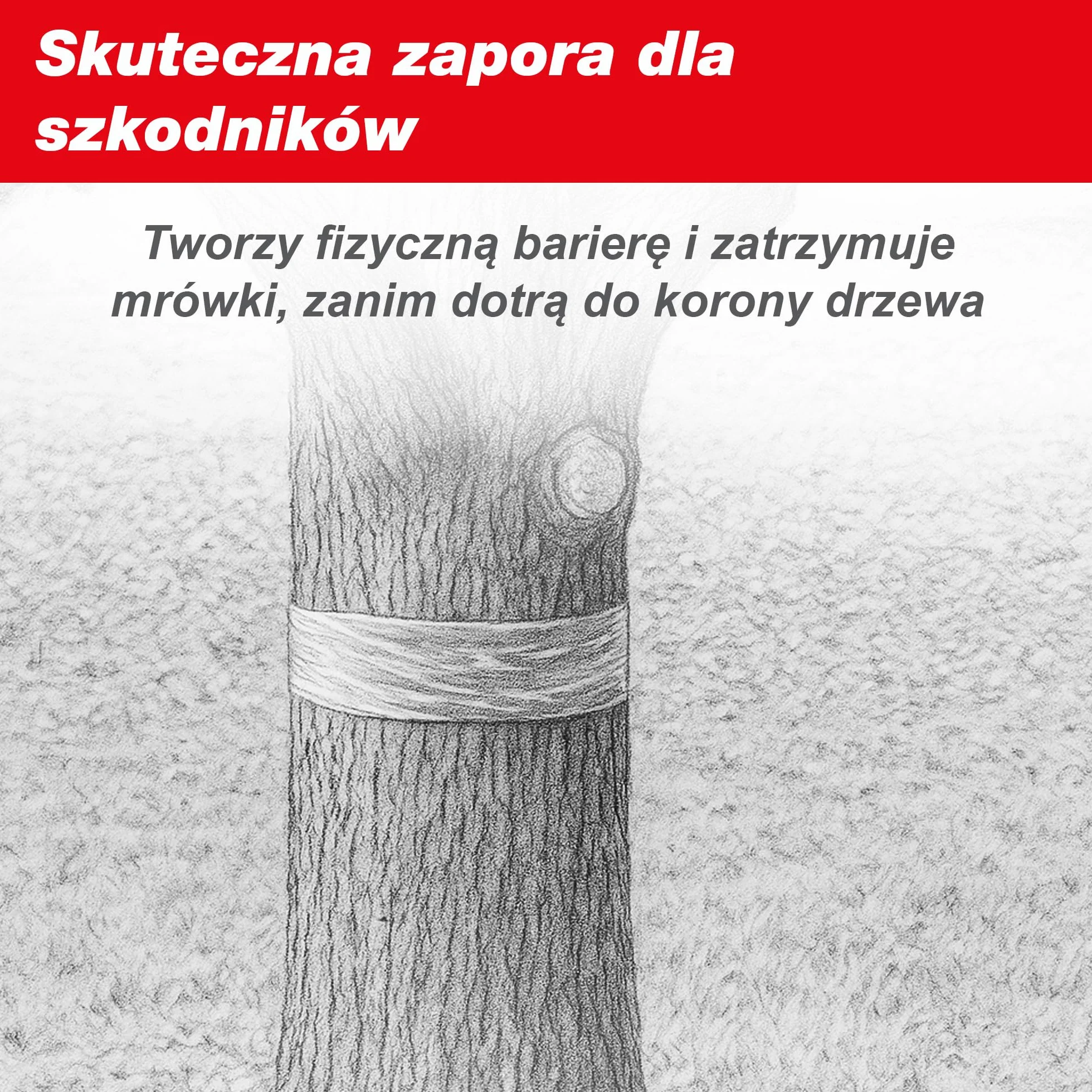 SWISSINNO Klejący Pierścień na Drzewa – Zwalcza Gąsienice i Mrówki – Pułapka Barierowa z Białą Taśmą – Samoprzylepna – 5cm x 5 Metry – Działa Mechanicznie