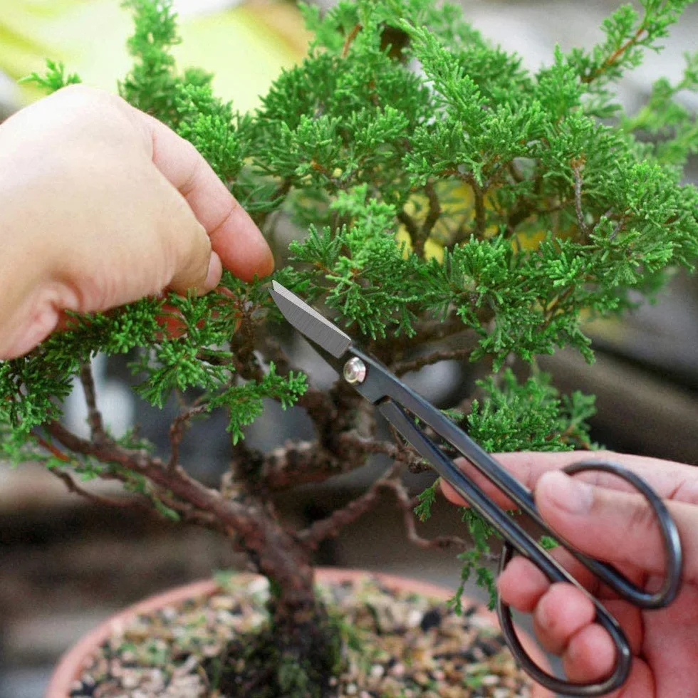 MOSFiATA Zestaw narzędzi bonsai 13 szt. zestaw narzędzi do przycinania sukulentów ze stali wysokowęglowej zawiera nożyce do przycinania, nożyczki, mini grabie, okrągłą i spiczastą łopatę oraz drut