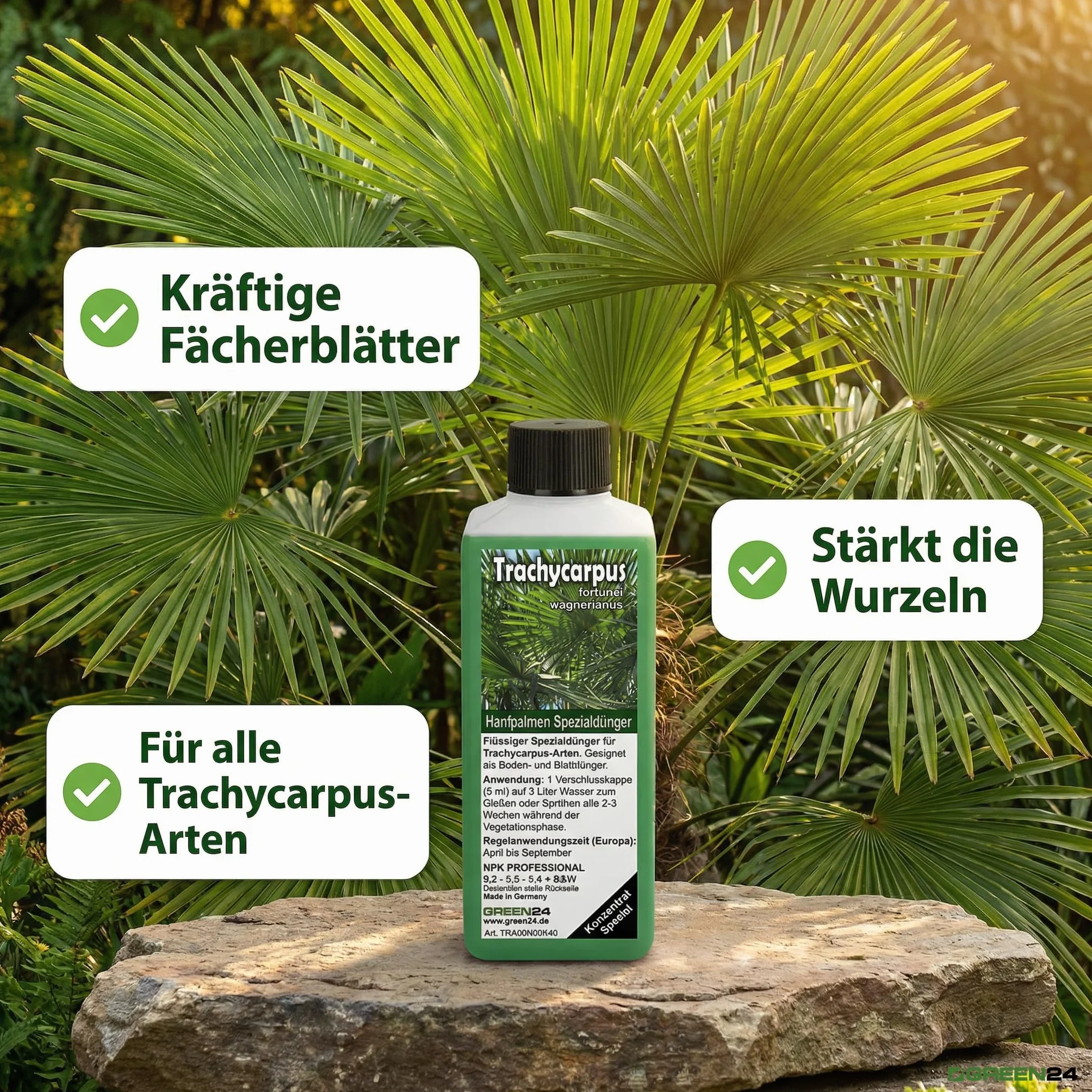 GREEN24 Trachycarpus nawóz do palm konopnych Trachycarpus fortunei wagnerianus jako specjalny nawóz do korzeni + nawóz dolistny Profi Line