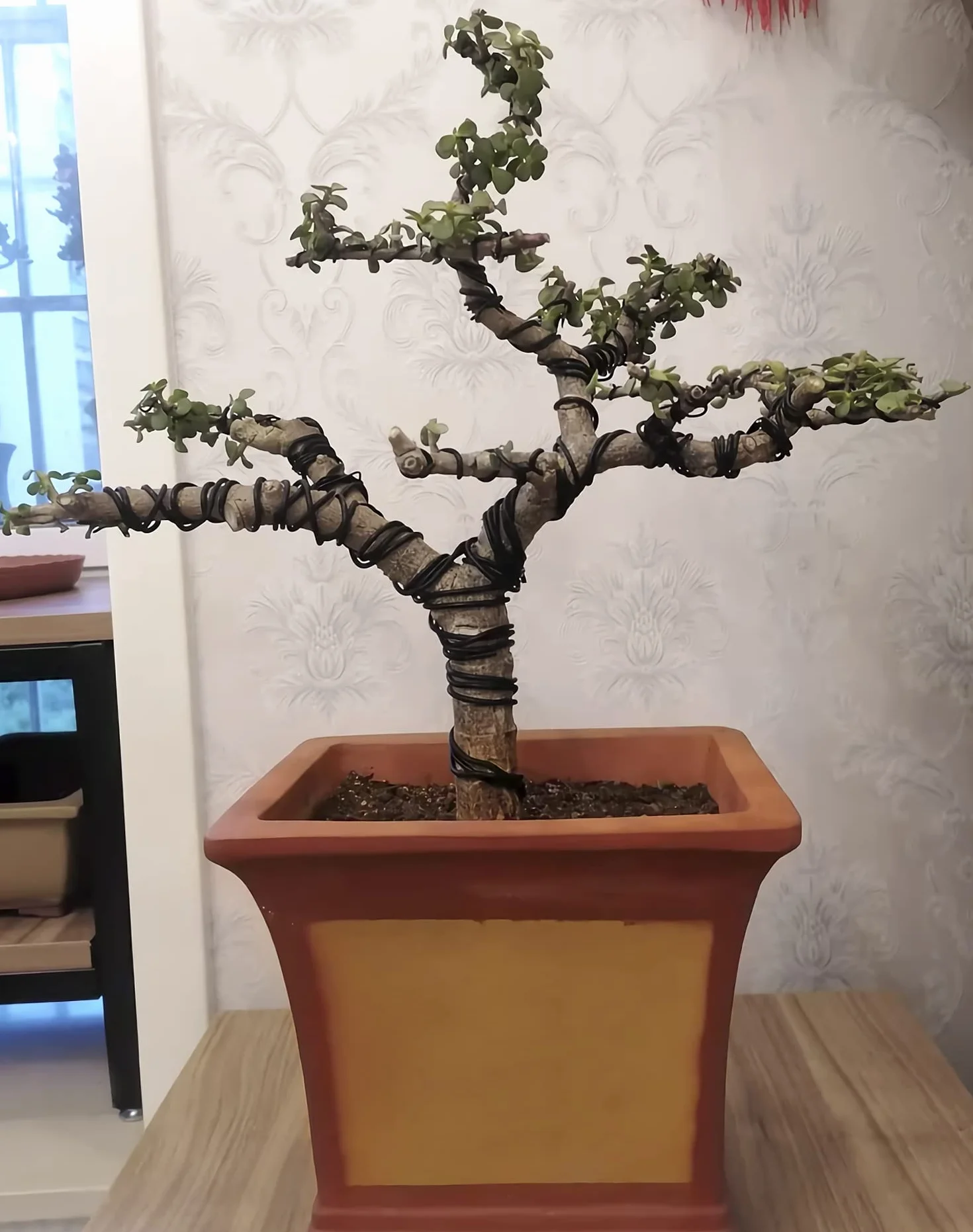 QWORK® 3 rozmiar drutu Bonsai Anodowany drut aluminiowy do roślin i drzew, 1,0 mm/1,5 mm/2,0 mm, łącznie 30 metrów