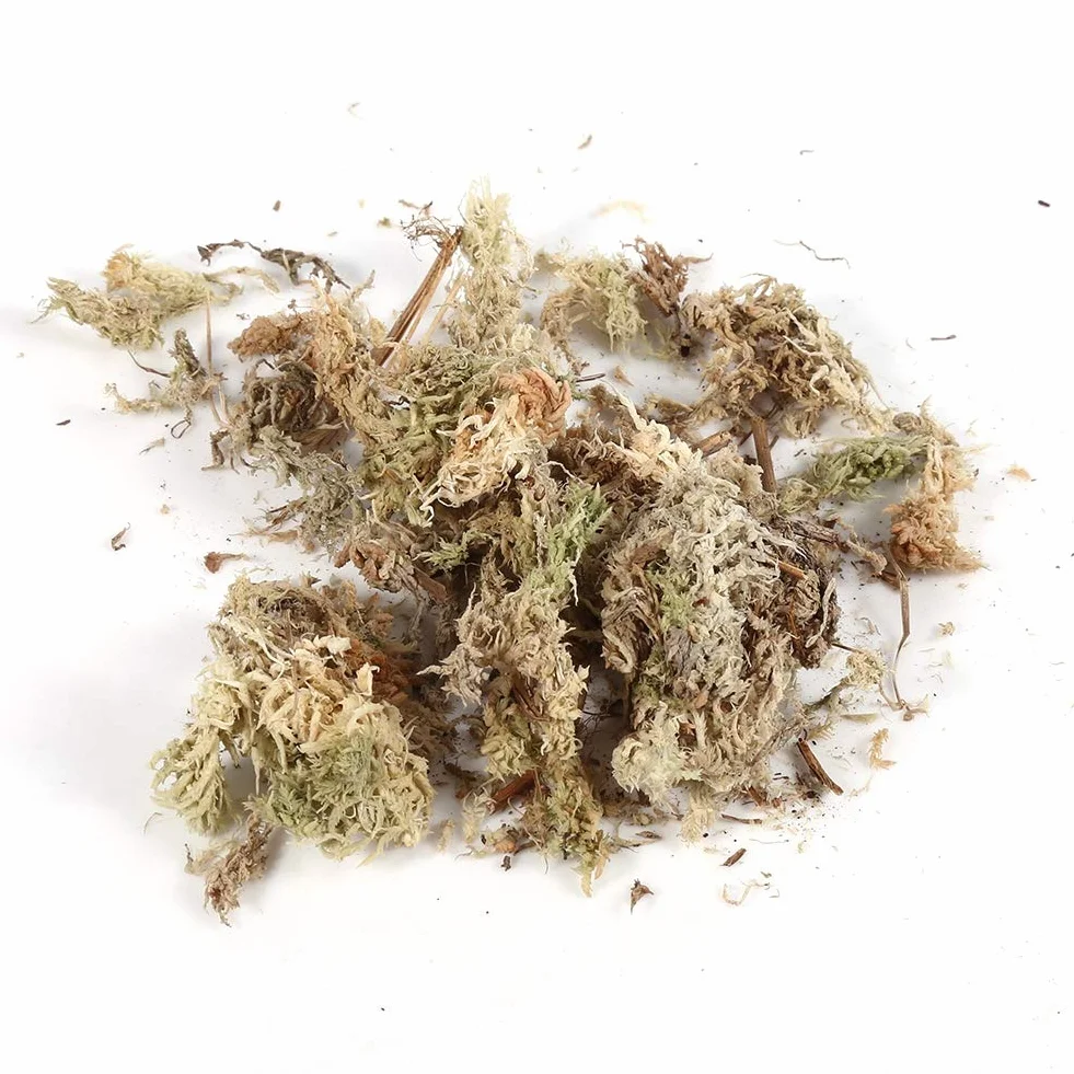 Eujgoov 6L Garden Sphagnum Moss Nawilżający Orchideen Moos Sphaigne Nutrition Organiczny Nawóz do Orchidei Phalaenopsis, EUJGOOVW4I6XVG50B