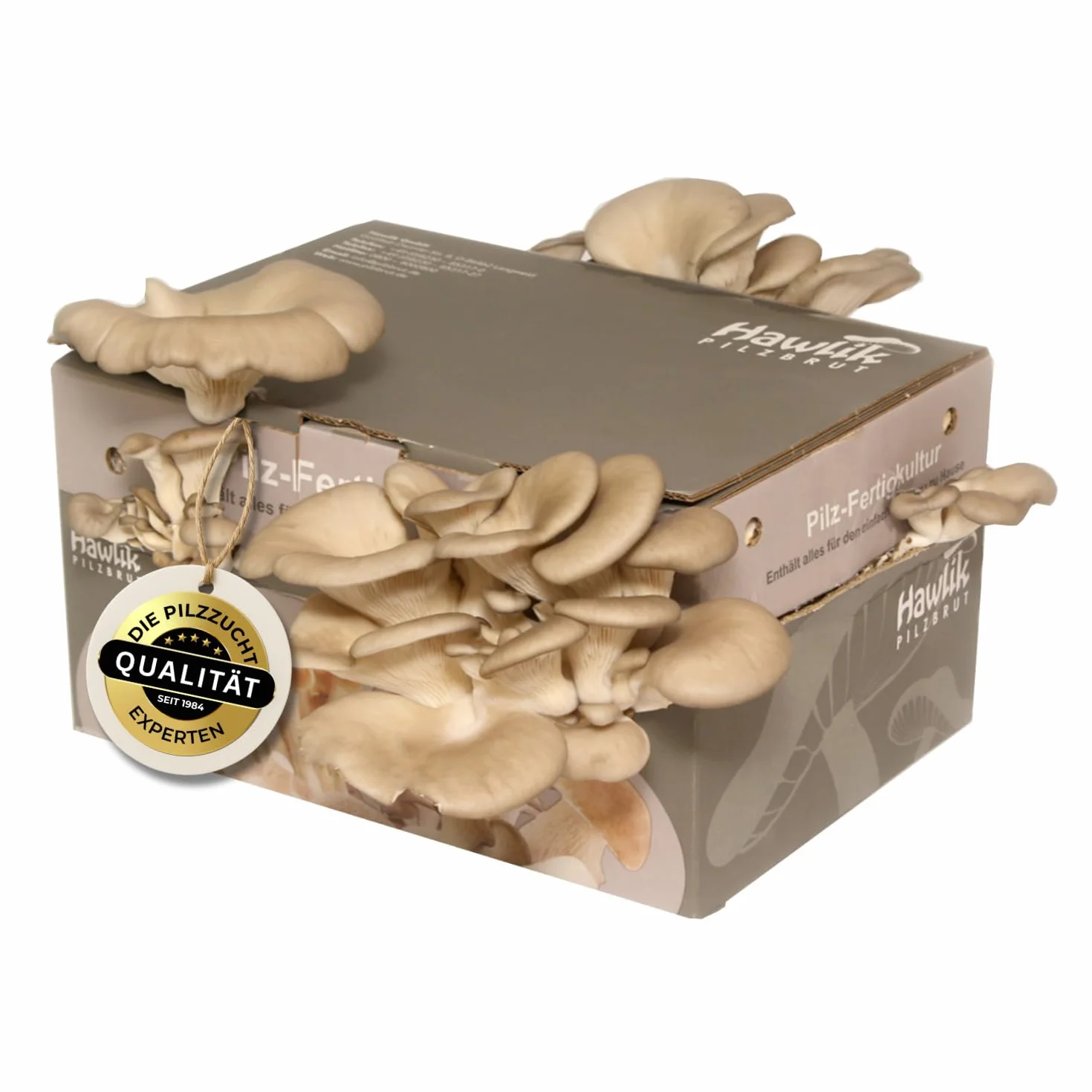 Hawlik Pilzbrut zestaw do hodowli boczniaków 1,5 kg