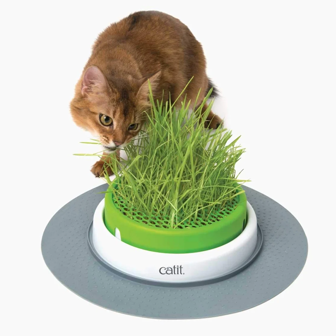 Caterpillar Catit kocich traw, zestaw 3-częściowy