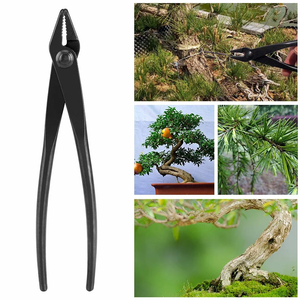 Szczypce Bonsai, 200 Mm Stal Manganowa Szczypce Do Drutu Szkoleniowego Bonsai Drut I Szczypce Jin Szczypce Szkoleniowe Jz Ergonomicznym Uchwytem Narzędzie Ogrodnicze, Czarne