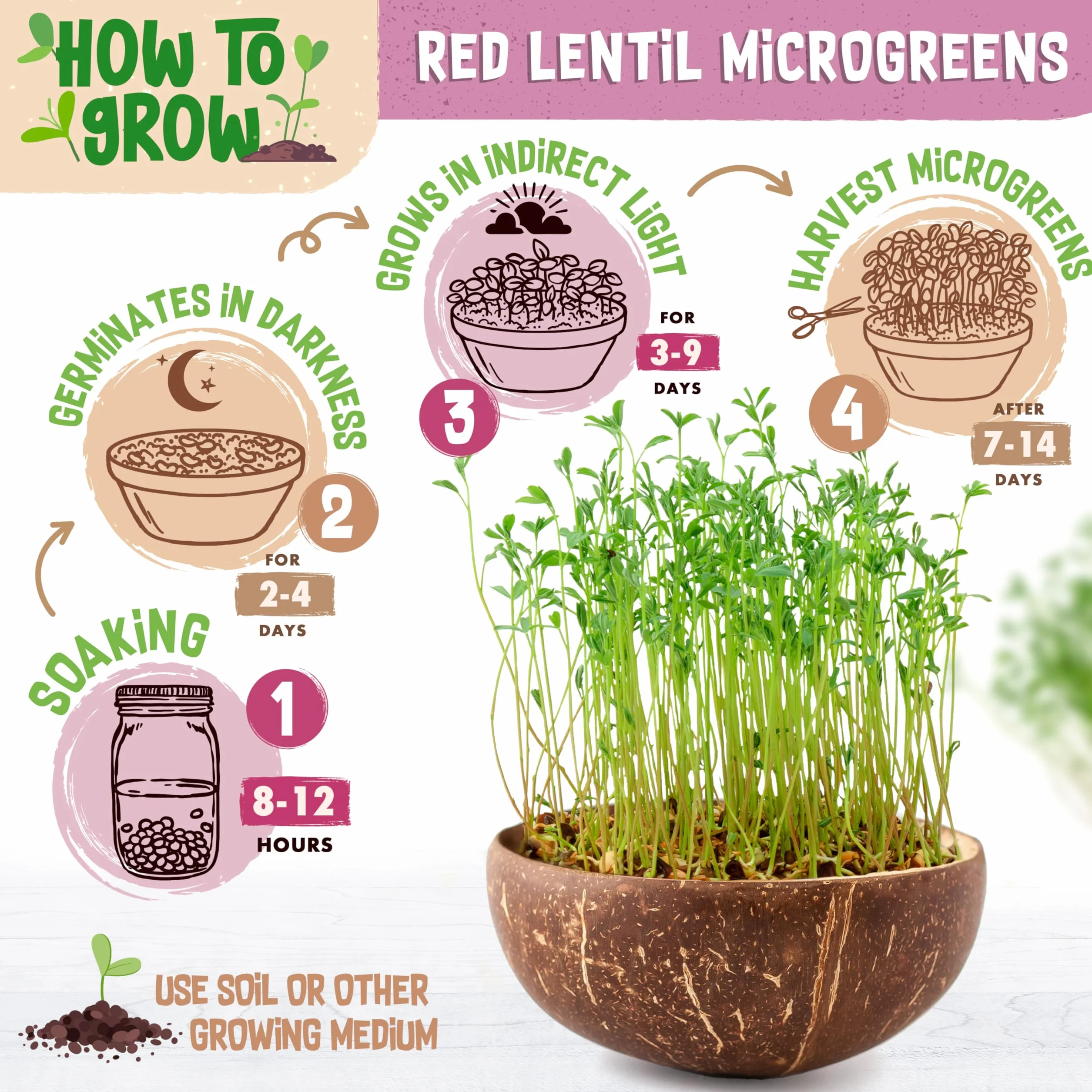 ZenGreens Organiczne nasiona czerwonej soczewicy 200 g 500 g kiełkowania 97%