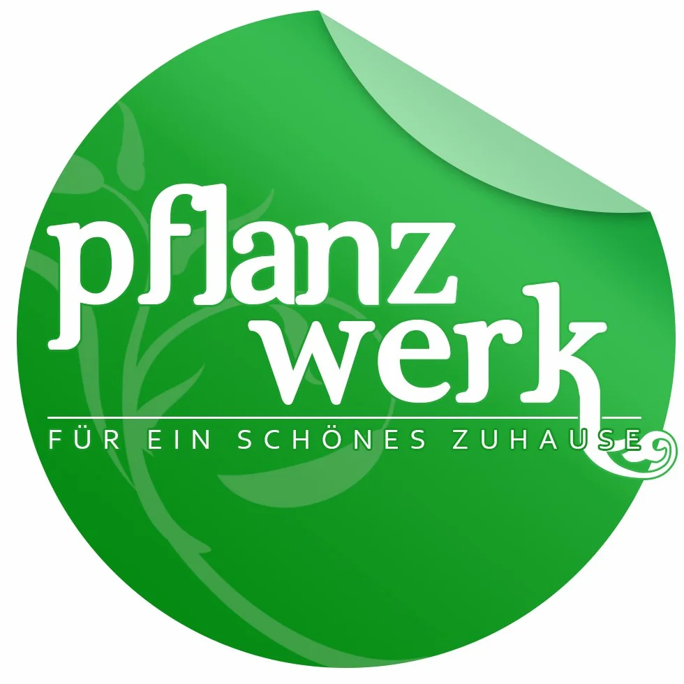 Pflanzwerk® Donica uniwersalna folia uszczelniająca premium PCW + uszczelniająca folia do oczka wodnego 200 x 145 cm 0,6 mm *odporna na mróz* *towar wysokiej jakości*