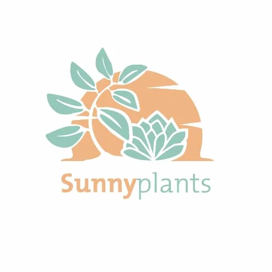 SUNNYPLANTS – Epiphyllum anguliger, kaktusy w jodełkę, rośliny Epiphyllum, sadzonki, kaktusy, nasiona kaktusa, sadzonki, sukulenty, rośliny pokojowe
