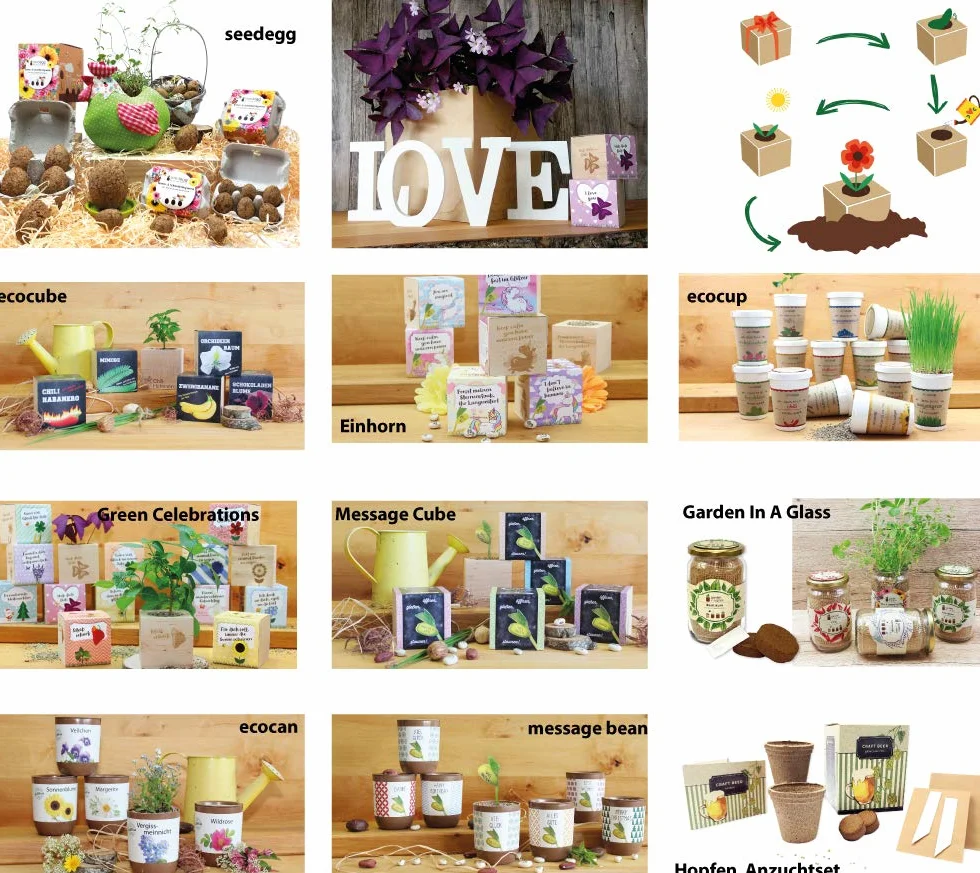 Feel Green Ecocube szarotka szarotka, zrównoważony pomysł na prezent (100% ekologiczna Friendly), zestaw do uprawy, rośliny w drewnianej kostce, Made in Austria