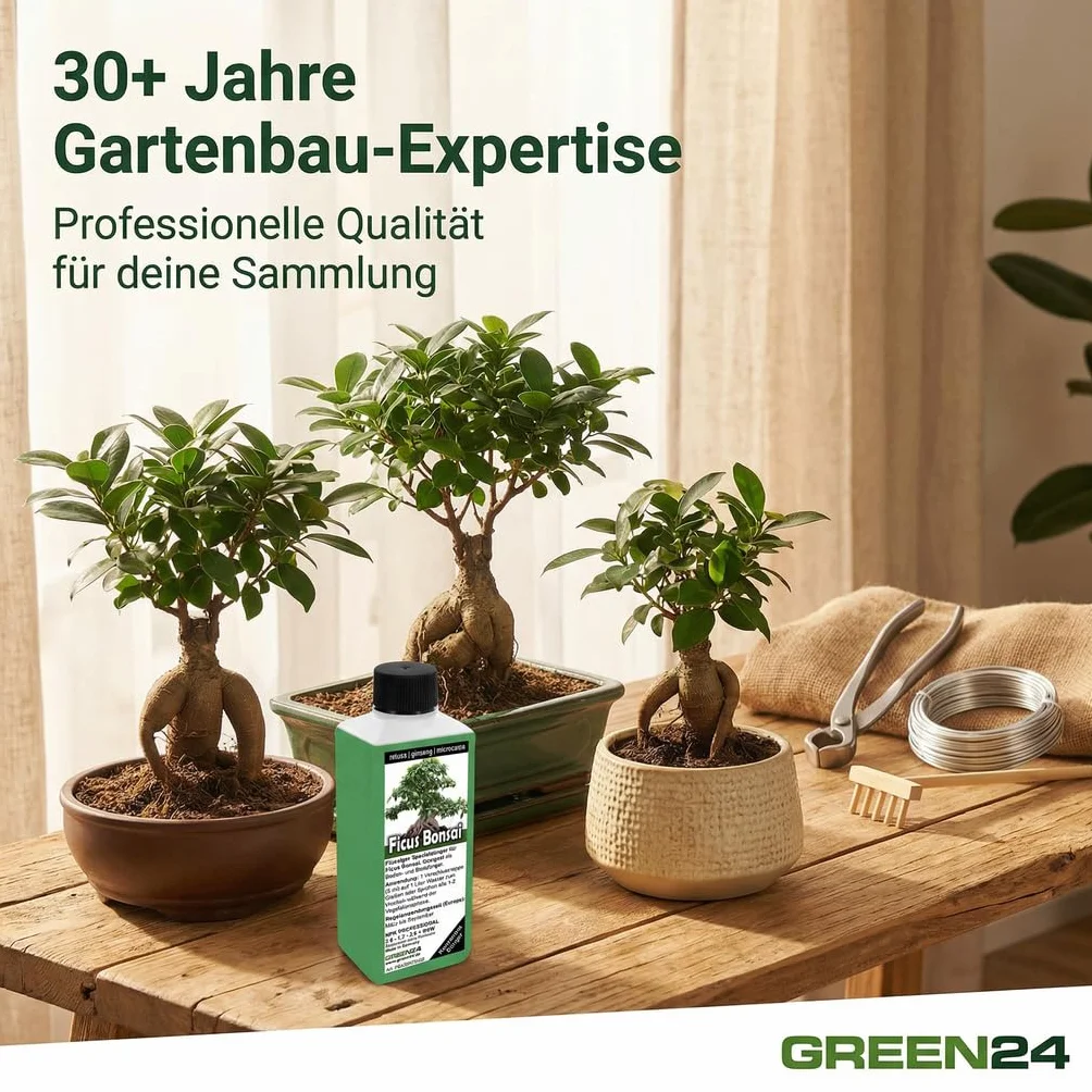 Nawóz do bonsai Ficus Ginseng retusa microcarpa, chińska figa, nawóz płynny