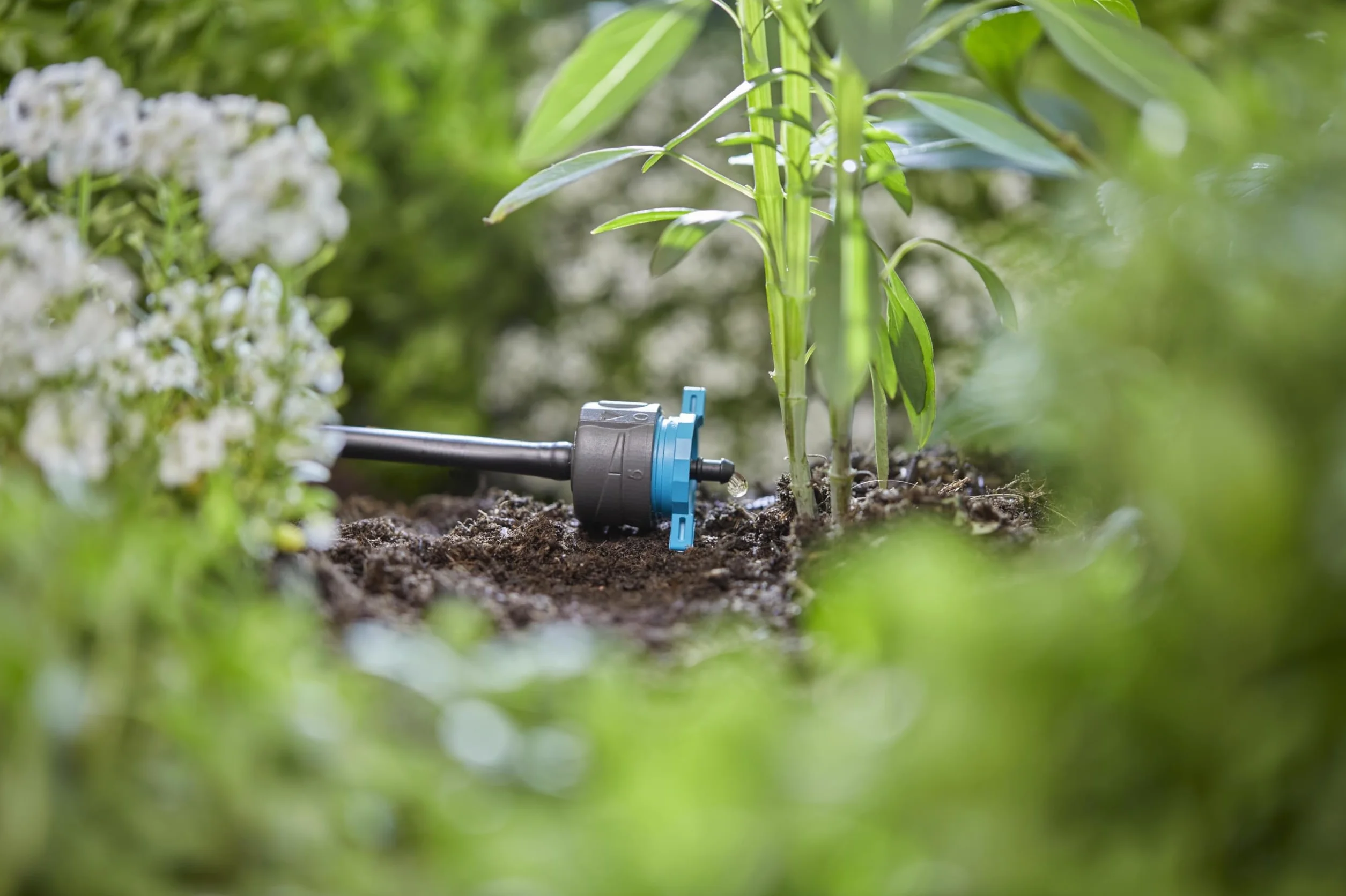 Gardena system Micro-Drip, regulowany kroplownik końcowy, regulacja ciśnienia: Element końcowy do nawadniania kroplowego do nawadniania roślin o różnej wysokości donicy (13304-20)