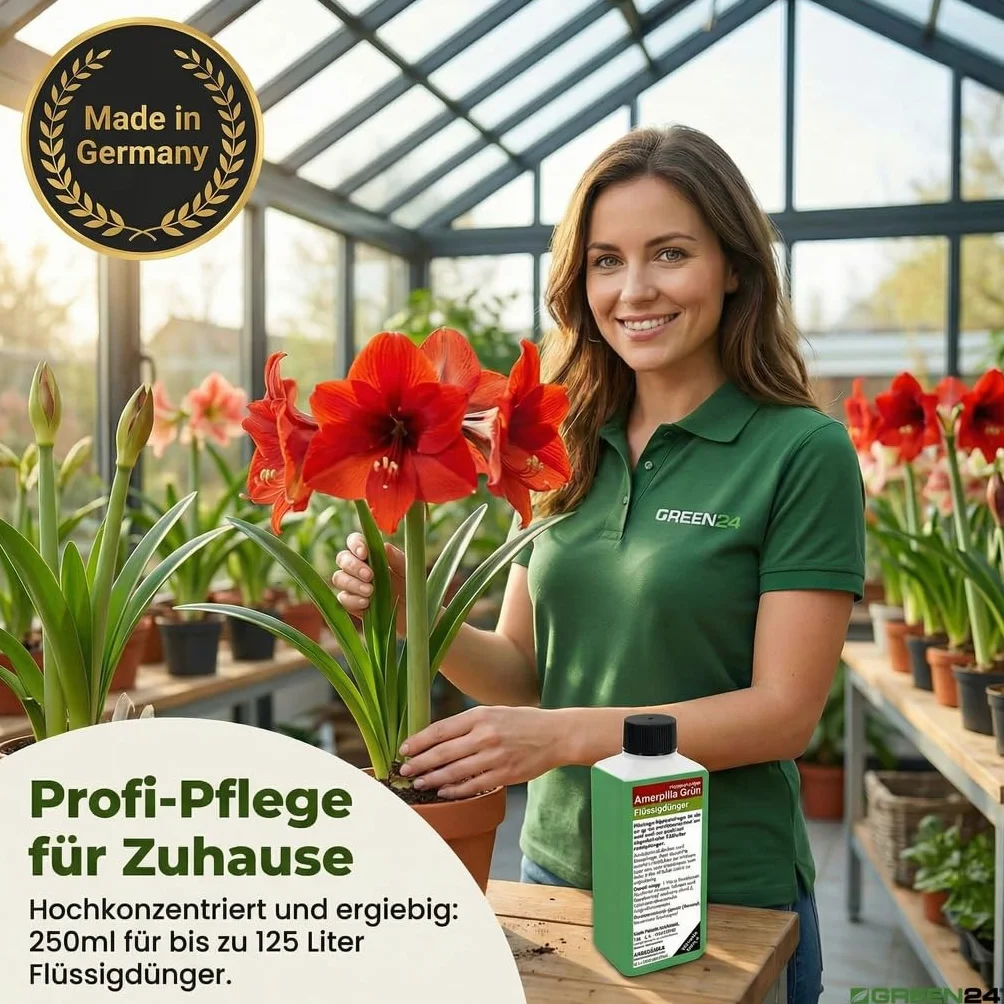 GREEN24 Amaryllis nawóz płynny HIGHTECH na czas bez kwiatów