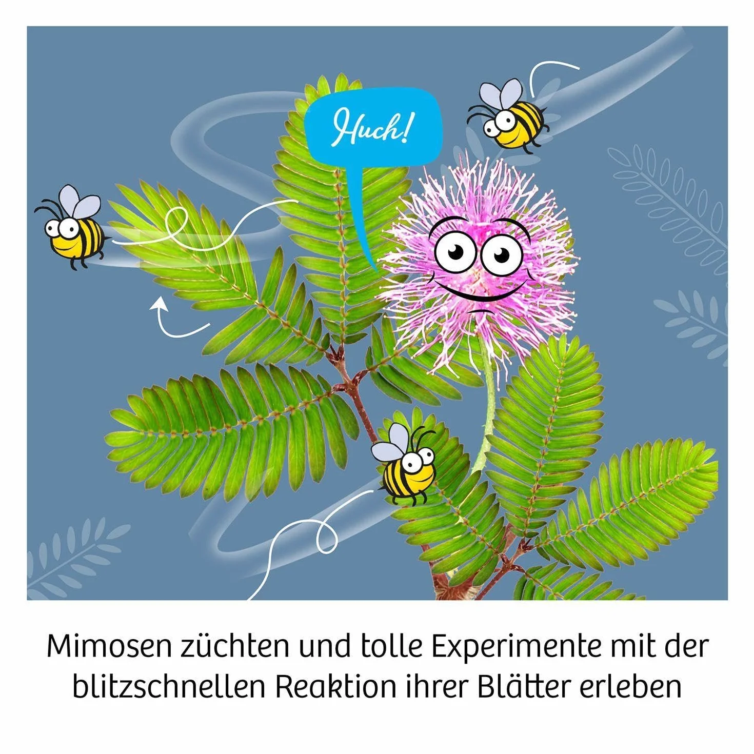 Mimosen-Garten: Experimentierkasten