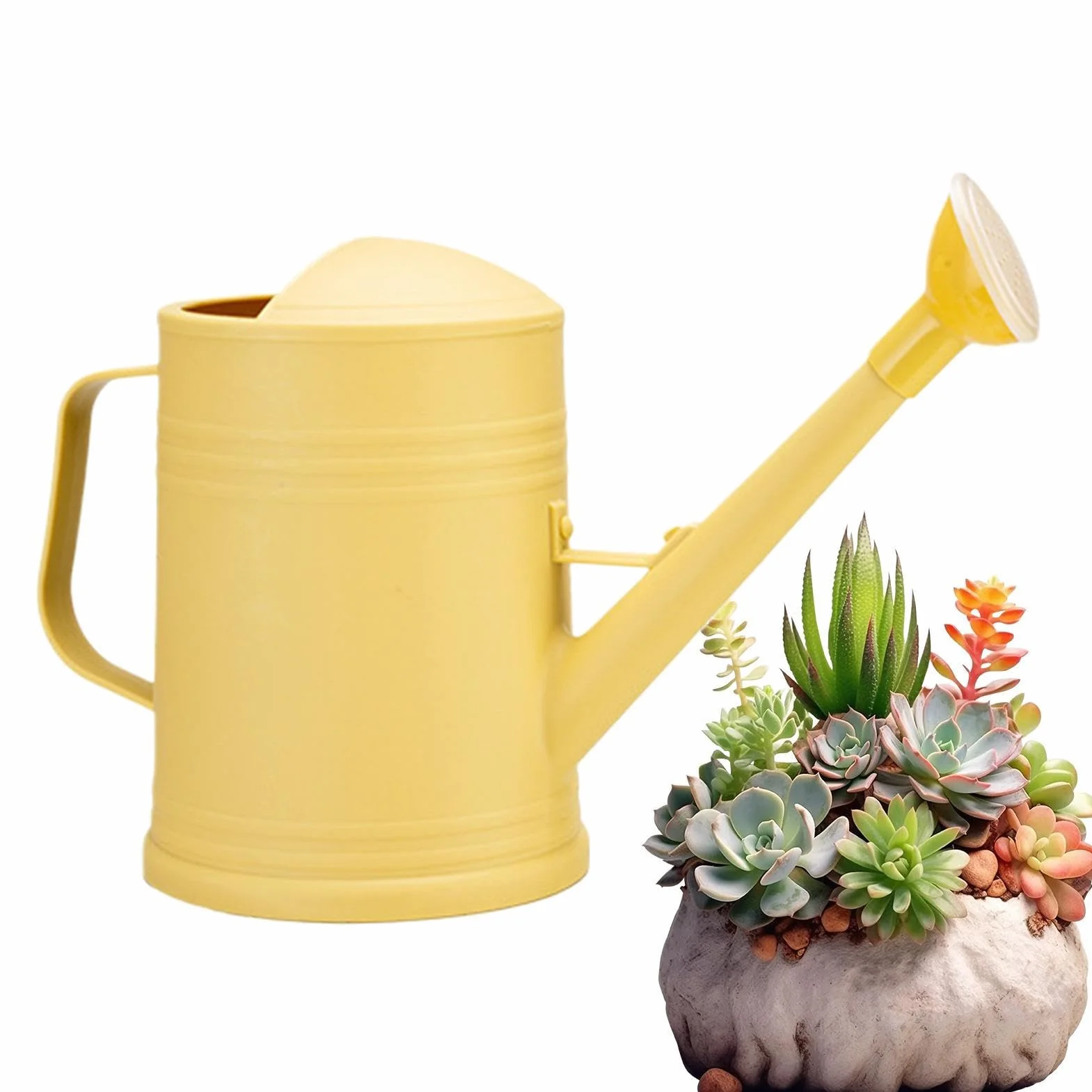 Plant Watering Can - Fine Mist Sprinkler Head Long Spout for Precise Irrigation | Mist Control with Lightweight Resin Water Pot, Garden Tool for Flowers Lawn Backyard Porch Indoor Plants