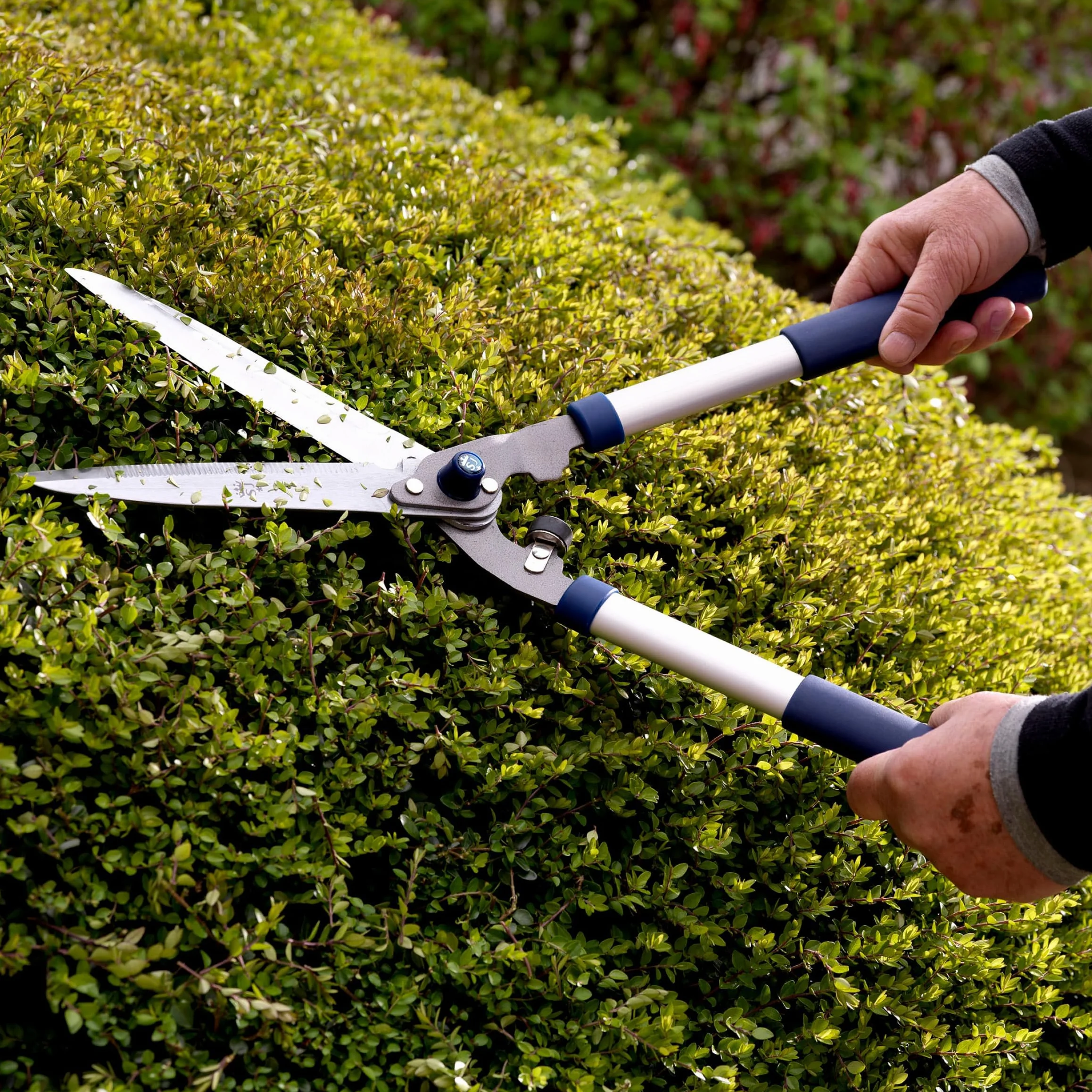 Spear & Jackson 8170RS Razorsharp Nożyce do żywopłotu z mechanizmem zębatkowym