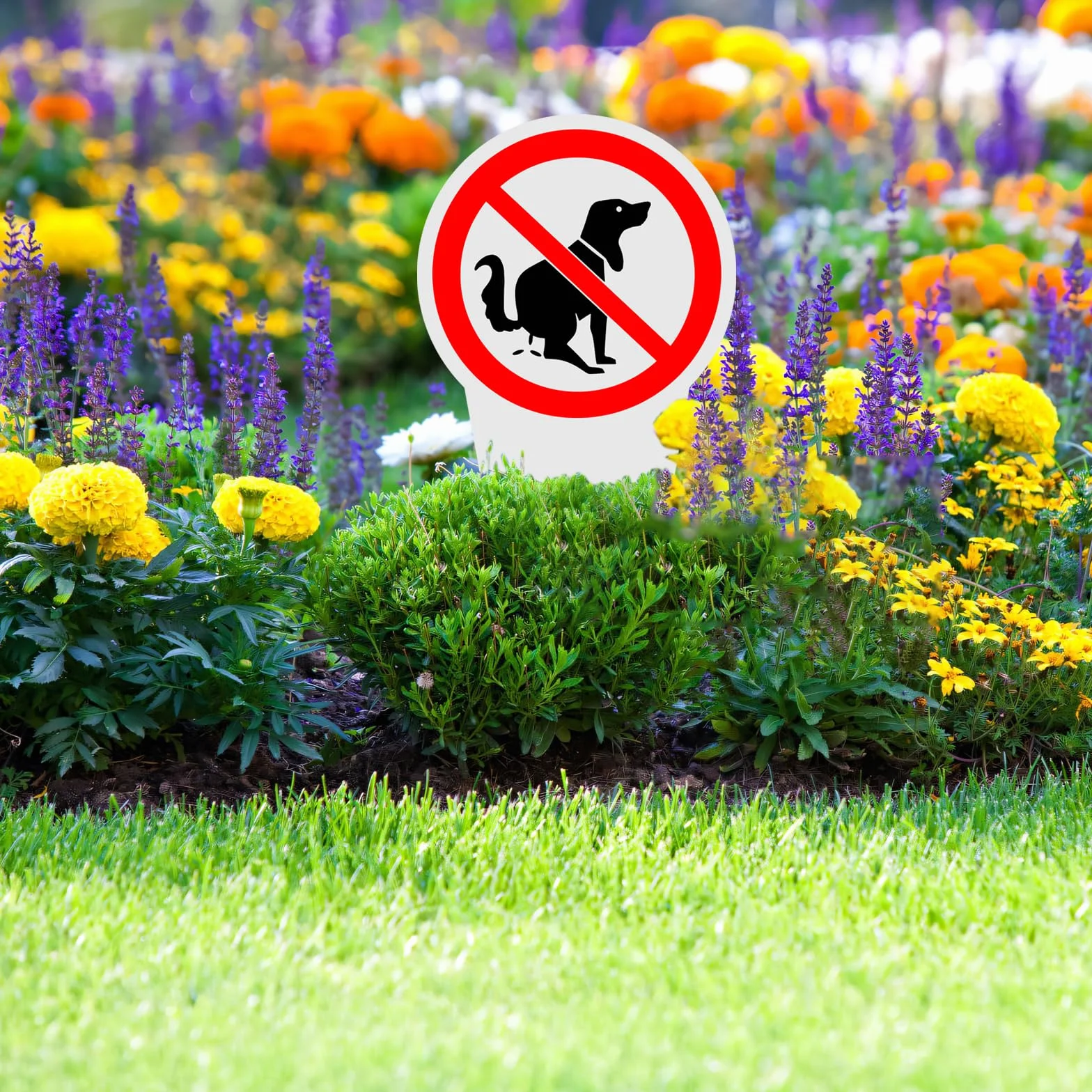 2 sztuki znak z odchodami dla psa 30 x 15 cm, znak ostrzegawczy dla psa z ochroną przed promieniowaniem UV, znak ostrzegawczy dla psa, znak dla psa z palem, do podwórka i parku domowego
