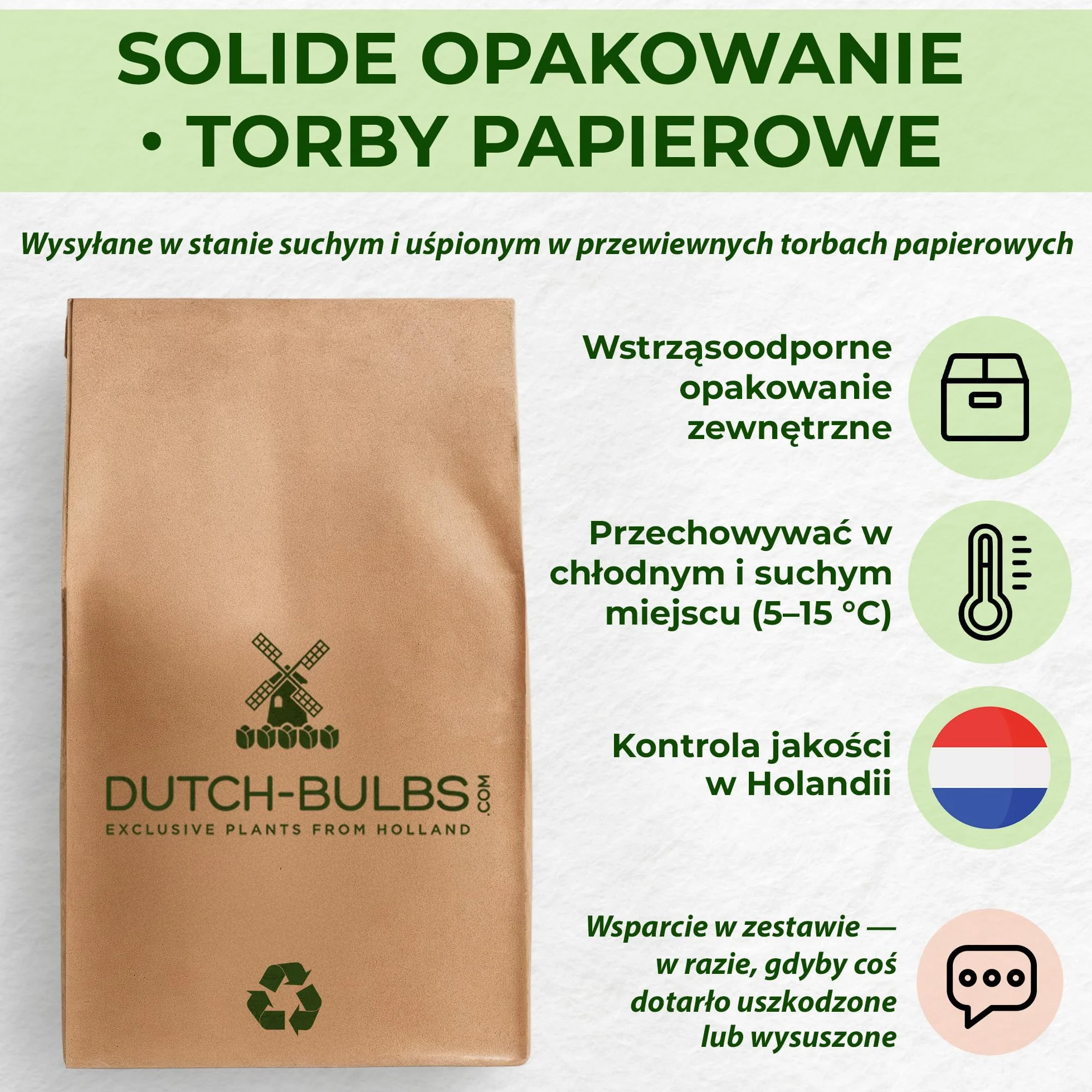 Piwonia Dark Red Passion (1 roślina), hybryda dużej piwonii, odporna bylina, rośliny z Holandii do ogrodu i doniczek (bez nasion, cebul i nie sztuczne)