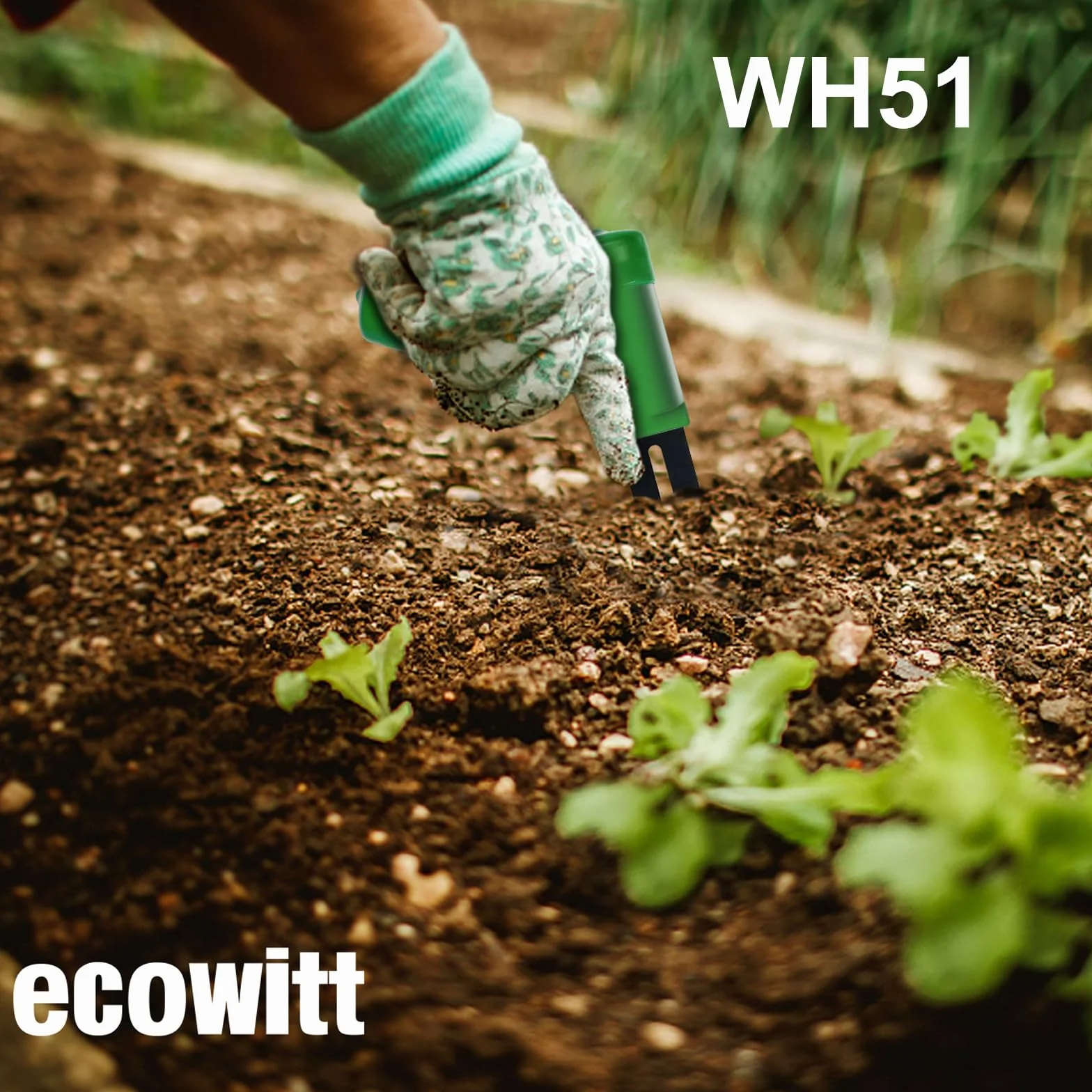 Ecowitt WH51 bezprzewodowy czujnik wilgotności gleby – monitor wody roślin, higrometr glebowy z alertem e-mail, czujnik akcesoriów do ekosystemu Ecowitt