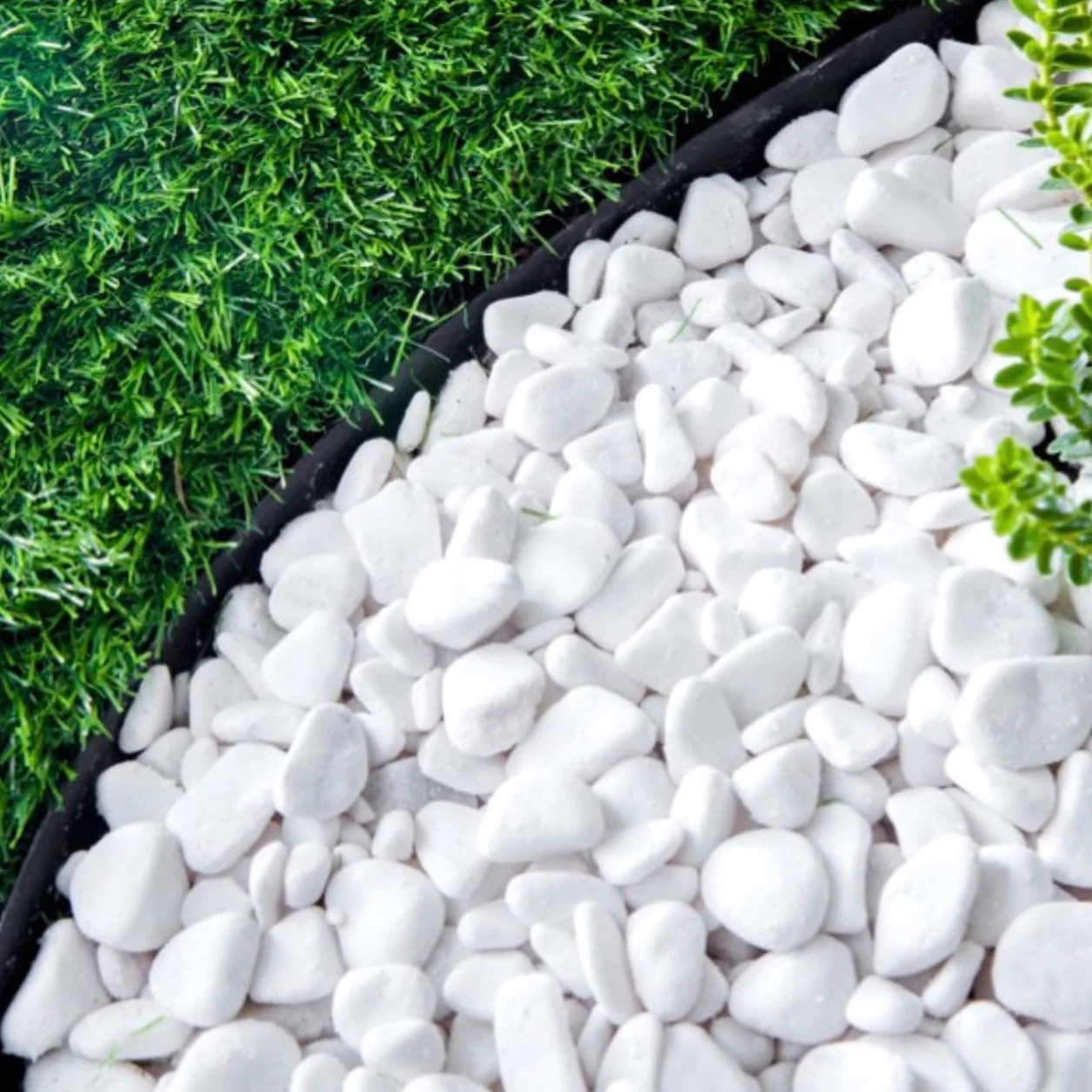 GARDENIX LineBORDER obrzeże trawnikowe z tworzywa sztucznego, 20 kotew, długość 10 m, wysokość 6 cm, czarne