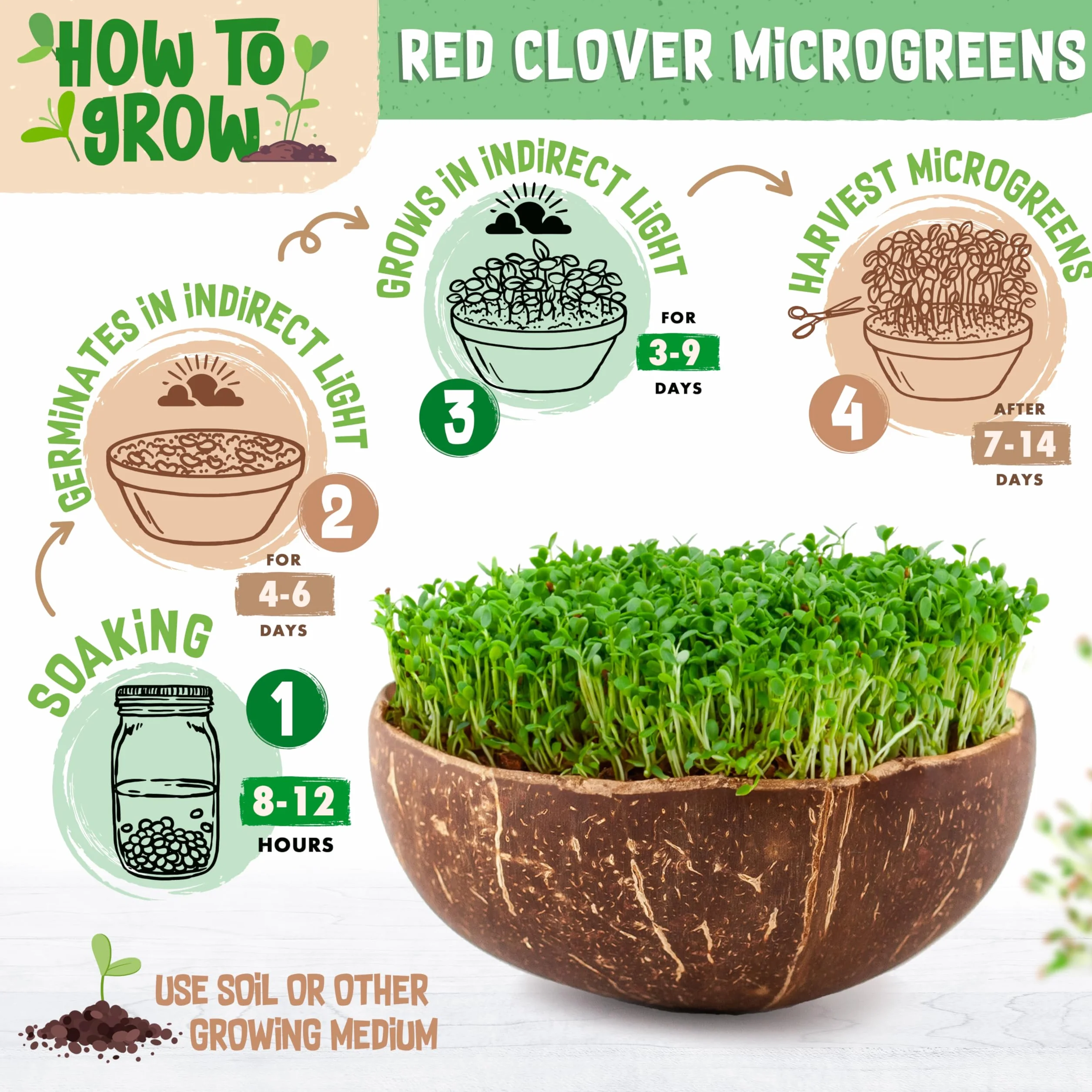 ZenGreens® - Organiczne nasiona koniczyny czerwonej - Wybierz pomiędzy 10, 200 g i 500 - nasiona koniczyny czerwonej o zdolności kiełkowania ponad 97% - nasiona koniczyny czerwonej kiełki
