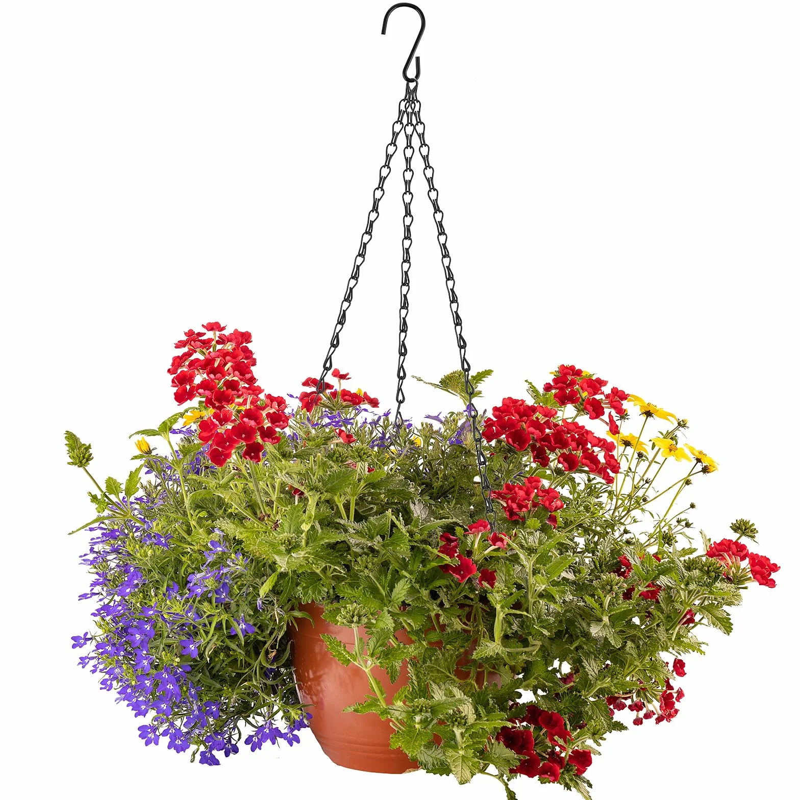 2 szt., 40 cm, czarny, wiszący łańcuch do kosza z haczykami, wiszący łańcuszek na rośliny, doniczka na rośliny, zamienny łańcuszek, wieszaki metalowe, wymienne wieszaki na rośliny do sadzarek, ozdoby,