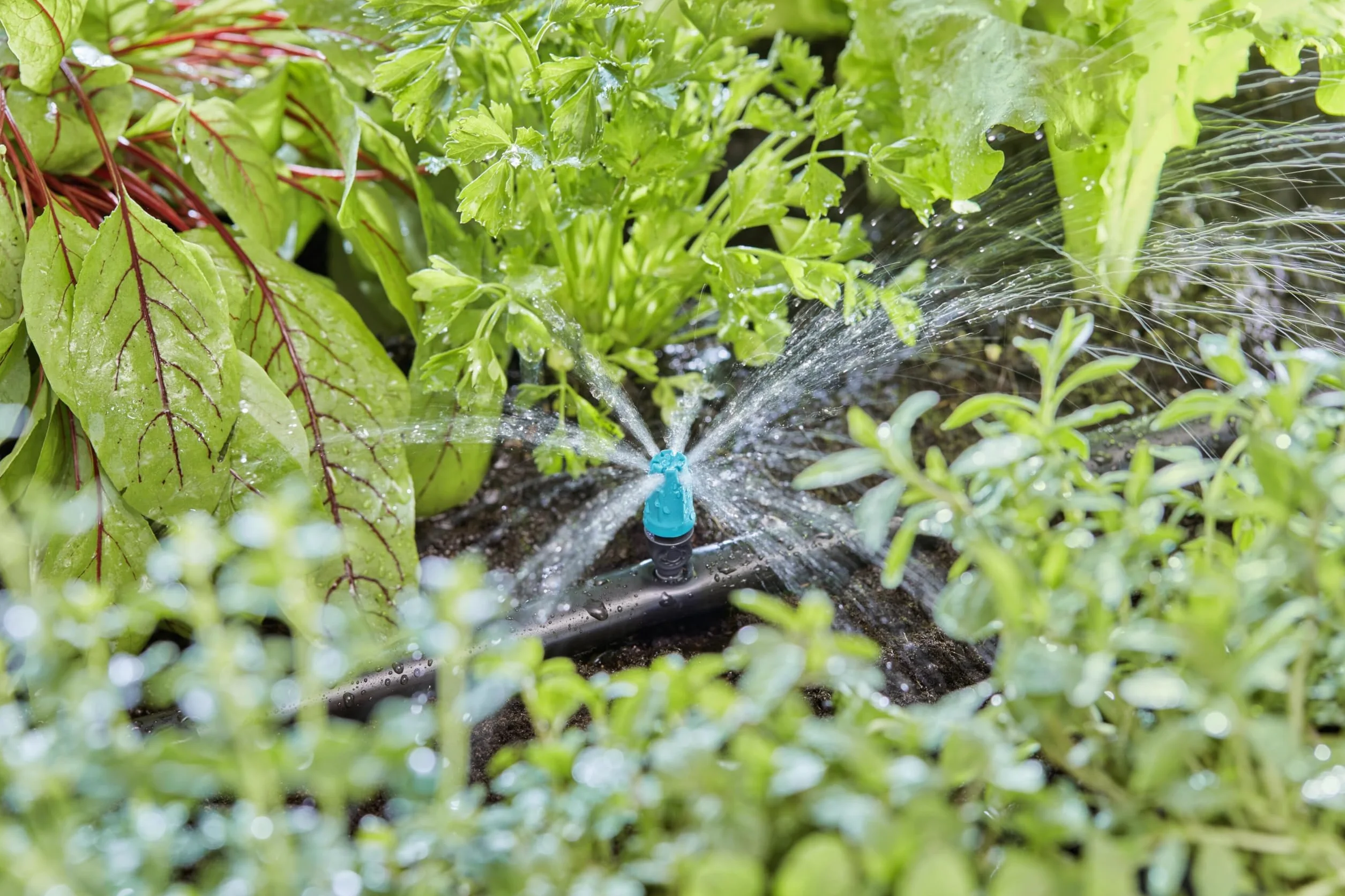 Gardena system Micro-Drip dysza małopowierzchniowa: Dysza rozpylająca do aut. systemu nawadniania do małych powierzchni do śr. 40 cm, proste połączenie z rurą instal. 13 mm (13306-20)
