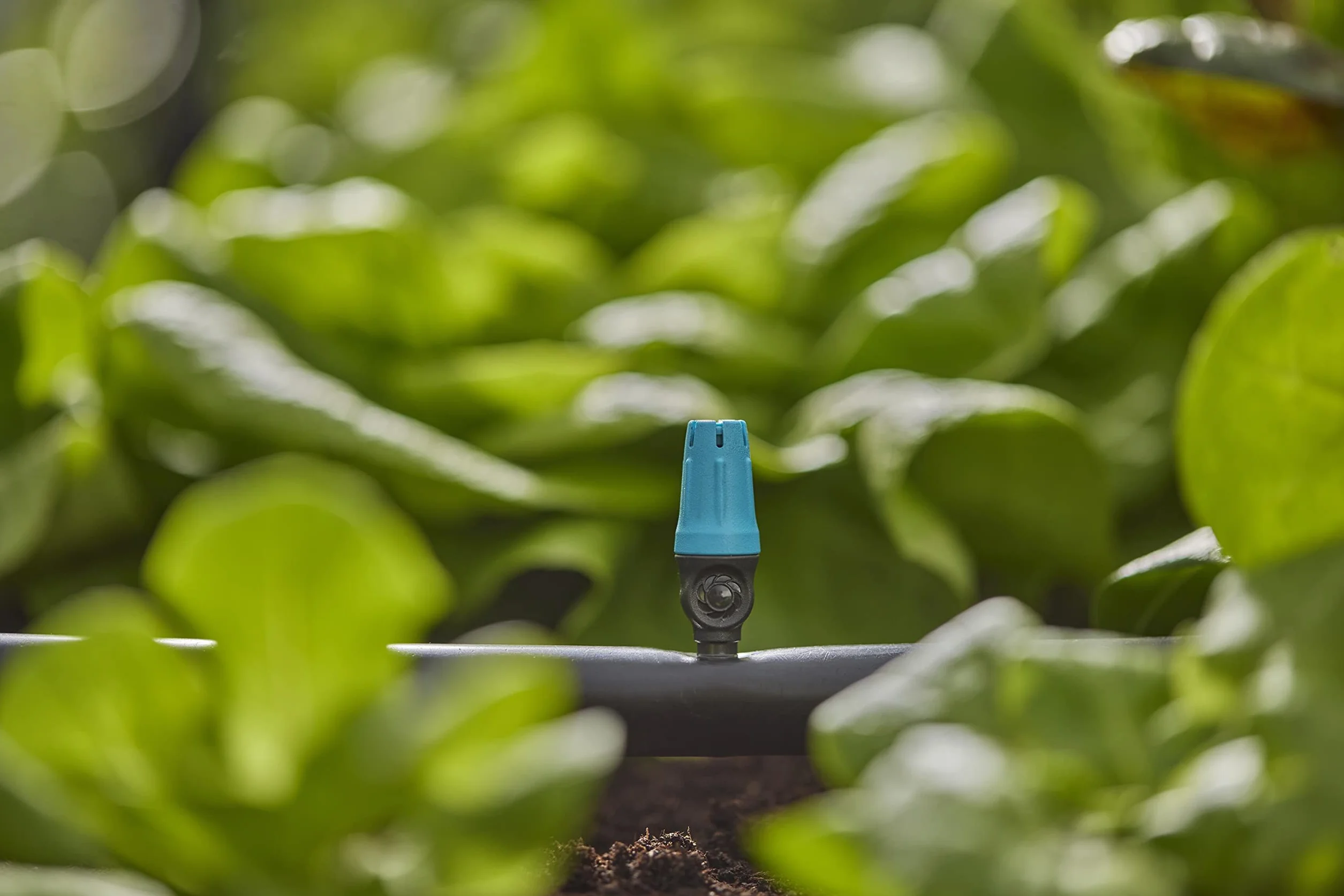 Gardena system Micro-Drip dysza małopowierzchniowa: Dysza rozpylająca do aut. systemu nawadniania do małych powierzchni do śr. 40 cm, proste połączenie z rurą instal. 13 mm (13306-20)