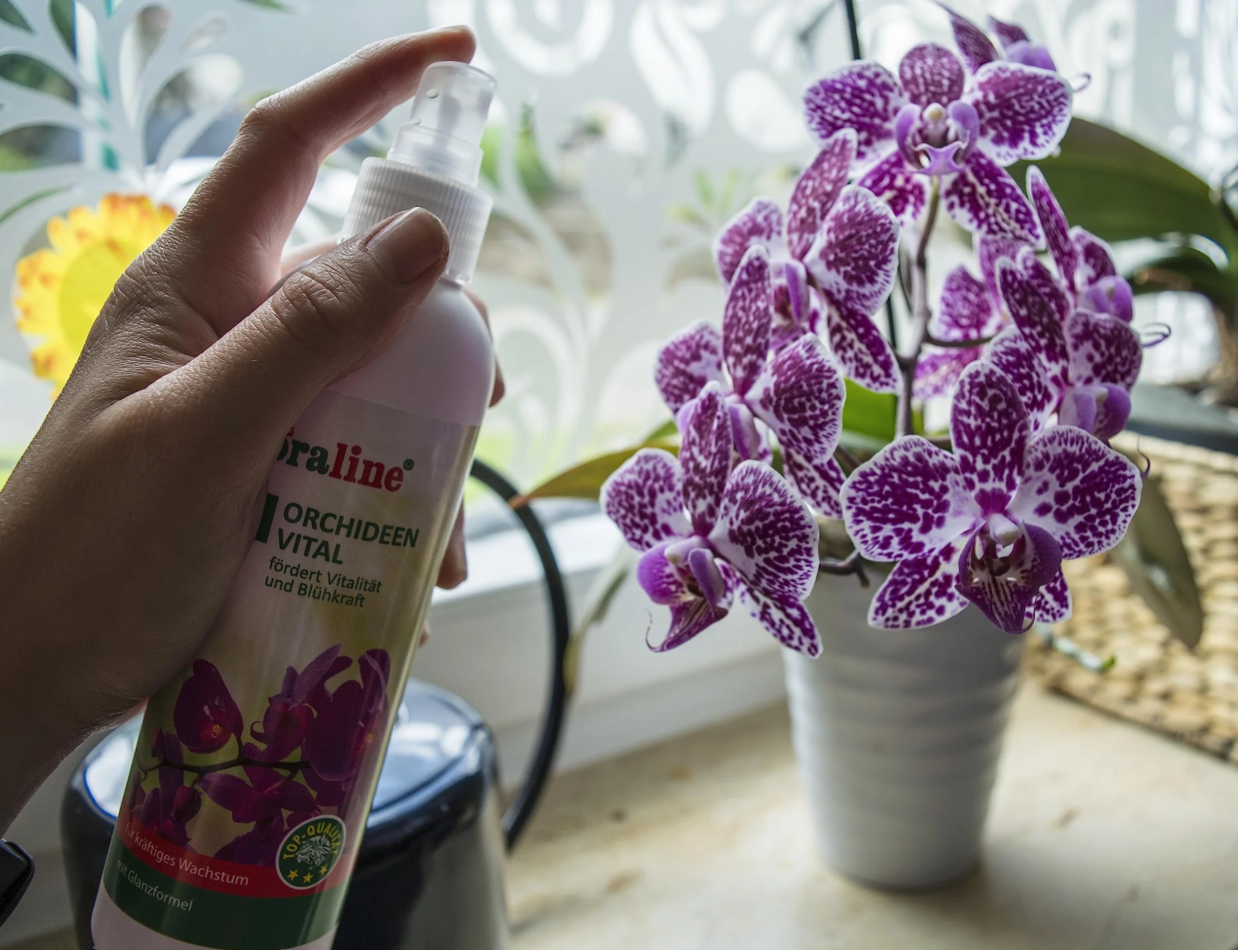 floraline Zestaw startowy nawozu do storczyków 20 pałeczek 3 odżywka witalna 250 ml Vital-Spray