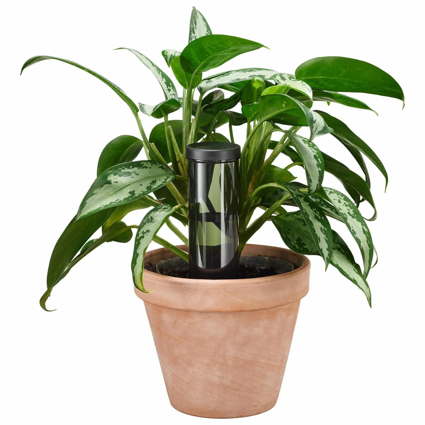 Fiskars Urban Plant Care dozownik wody do roślin, do wnętrz i na balkon, 350 ml, do 5 dni ciągłego nawadniania, 6,4 x 25 cm, ceramika/tworzywo sztuczne, ciemnozielony, 1075380