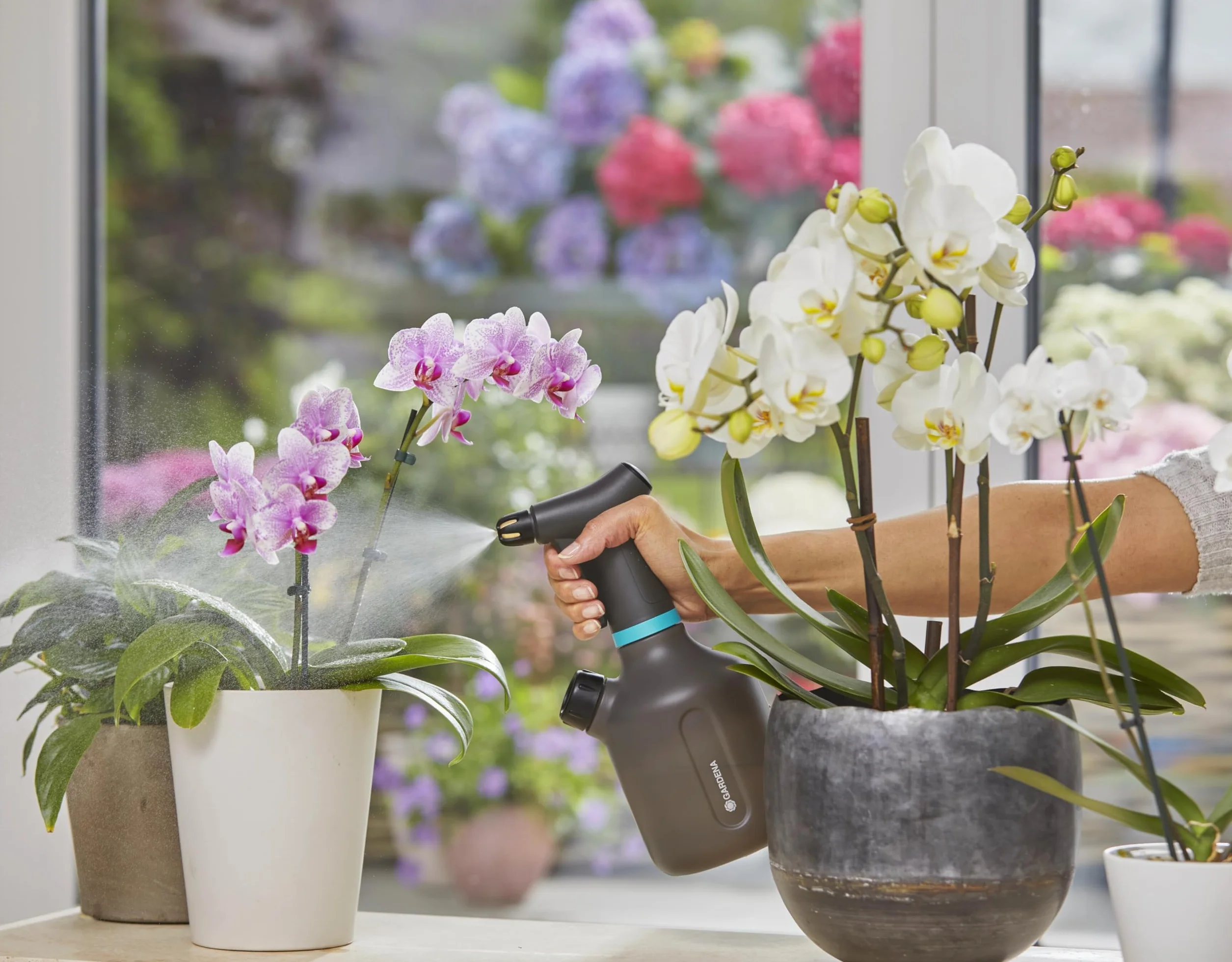 Gardena opryskiwacz z pompką 1 l: Opryskiwacz z pompką do wnętrz z funkcją 360°, dysza mosiężna, duży otwór, przezroczysta konstrukcja, zintegrowana pokrywka dozująca, z wskaźnikiem poziomu (11112-20)