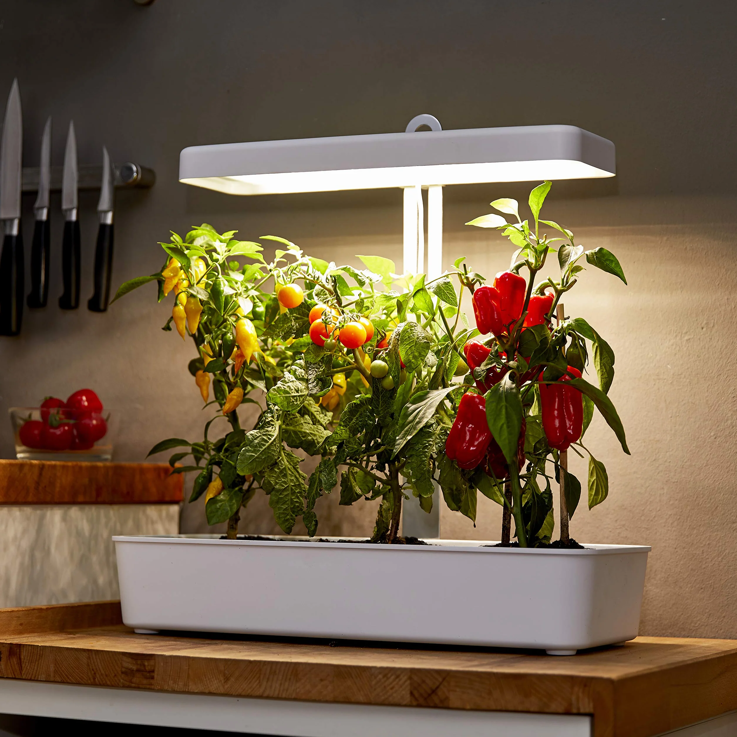 Northpoint Hydroponiczny system uprawy roślin LED lampa do roślin ogród ziołowy lampa do uprawy roślin 22 W, 1350 lumenów, 10 sadzonek, regulacja wysokości, timer