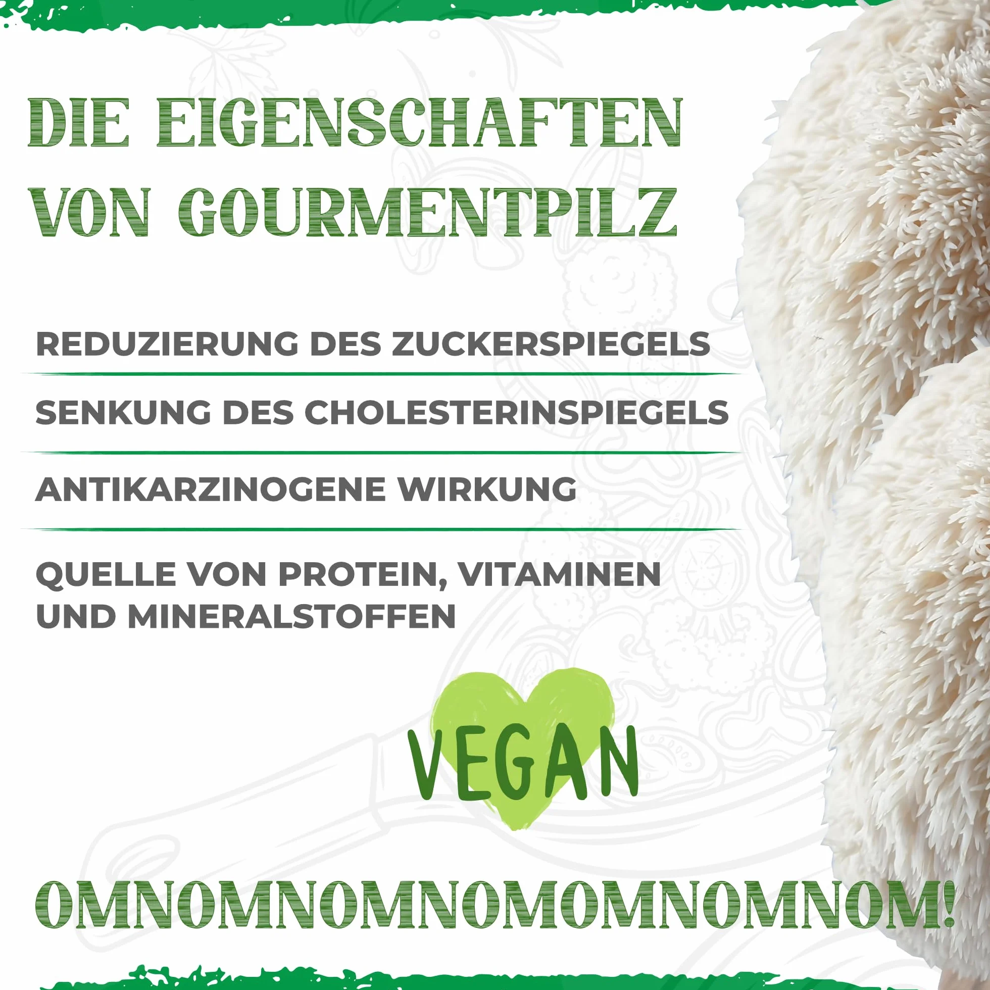 BIO Zestaw do hodowli grzybów | Grzyby gryfola (Hericium erinaceus) dziecinnie proste w uprawie | Zestaw do hodowli grzybów do domu | Kompletny zestaw do hodowli grzybów w ekologicznej jakości