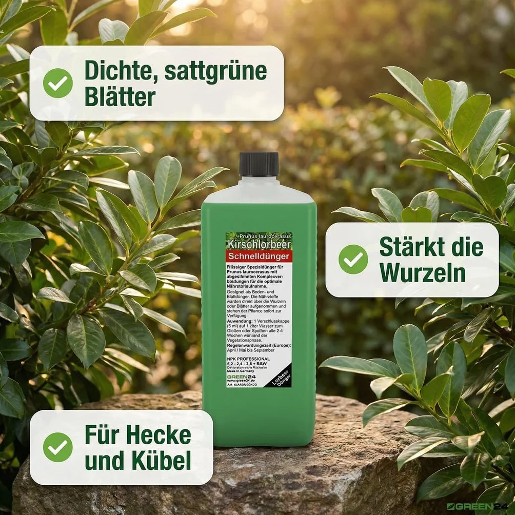GREEN24 HIGHTECH nawóz do laurowego wiśniowego, profesjonalna linia 1 l, do nawożenia wielu roślin Prunus laurocerasus, Hightech płynny nawóz do żywopłotów laurowych i donic
